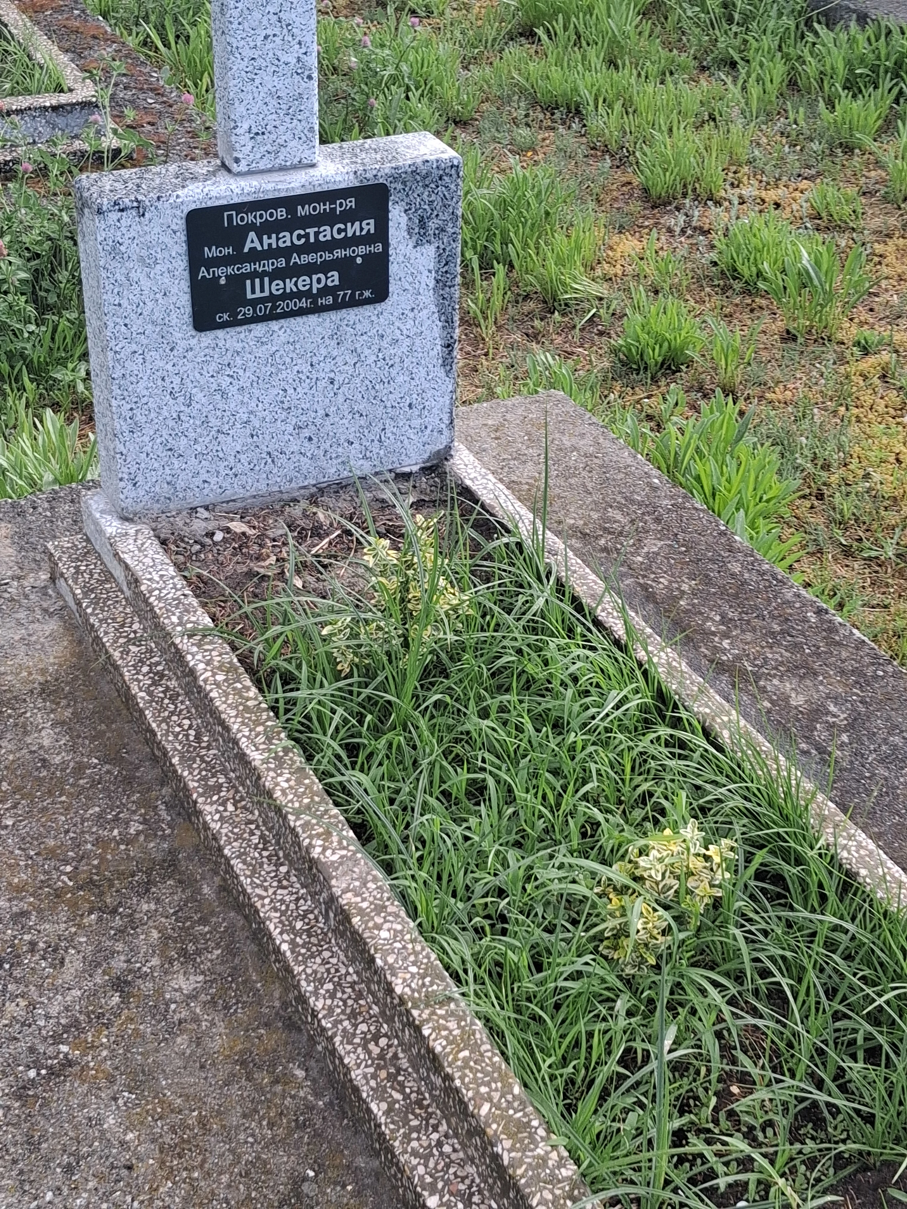 Memorial image