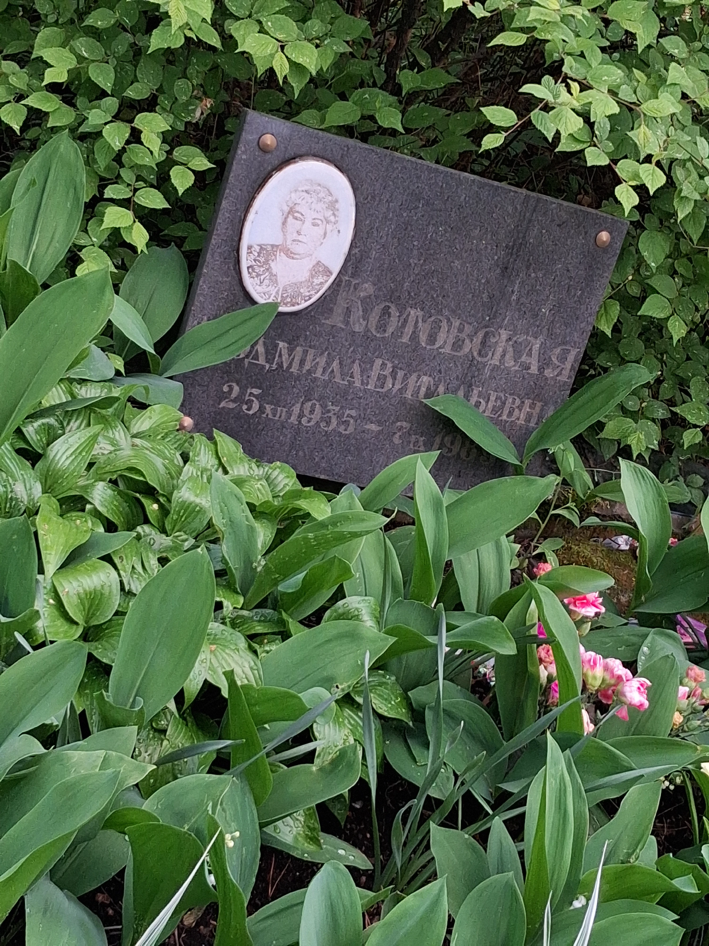 Memorial image