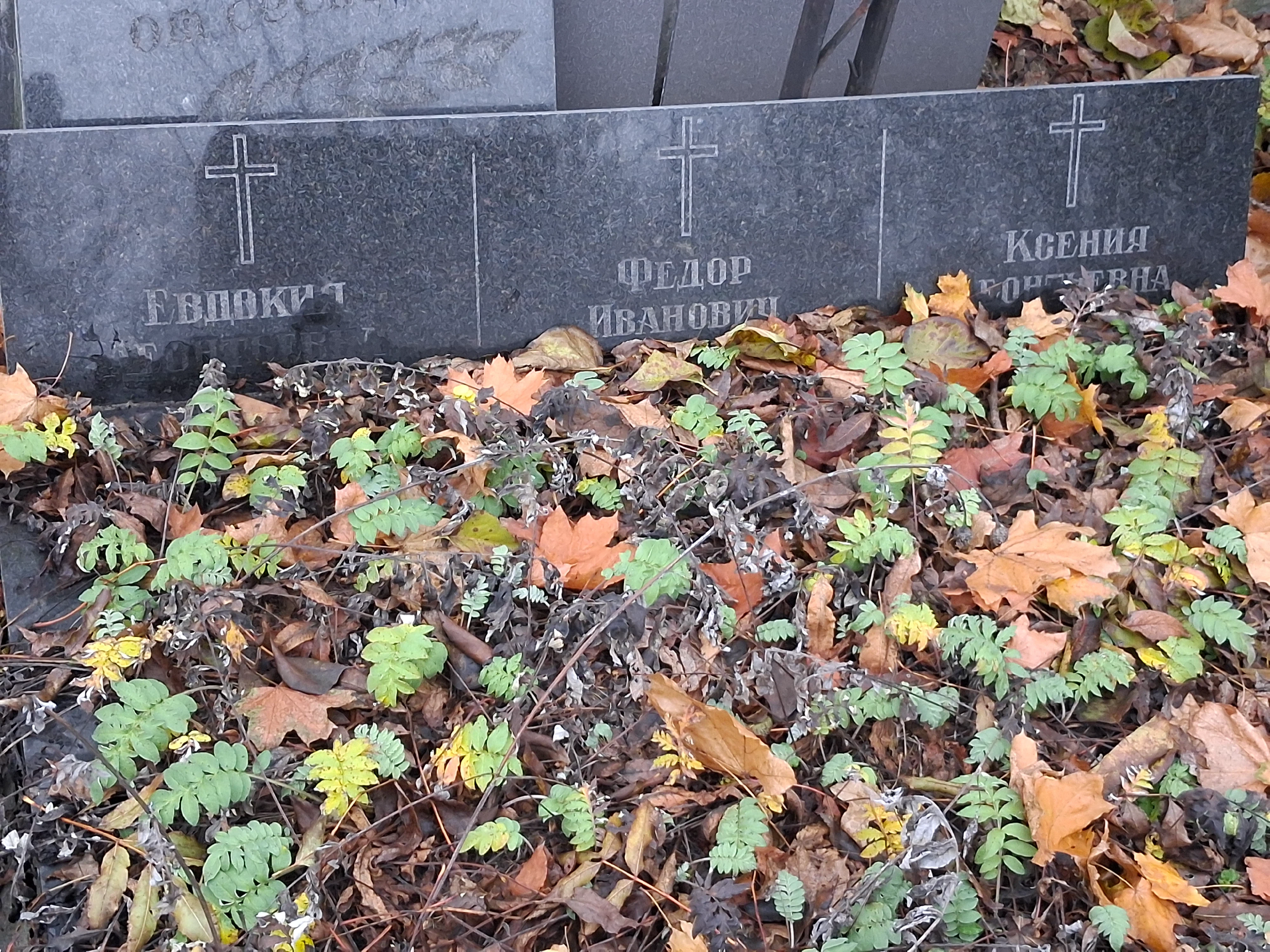 Memorial image
