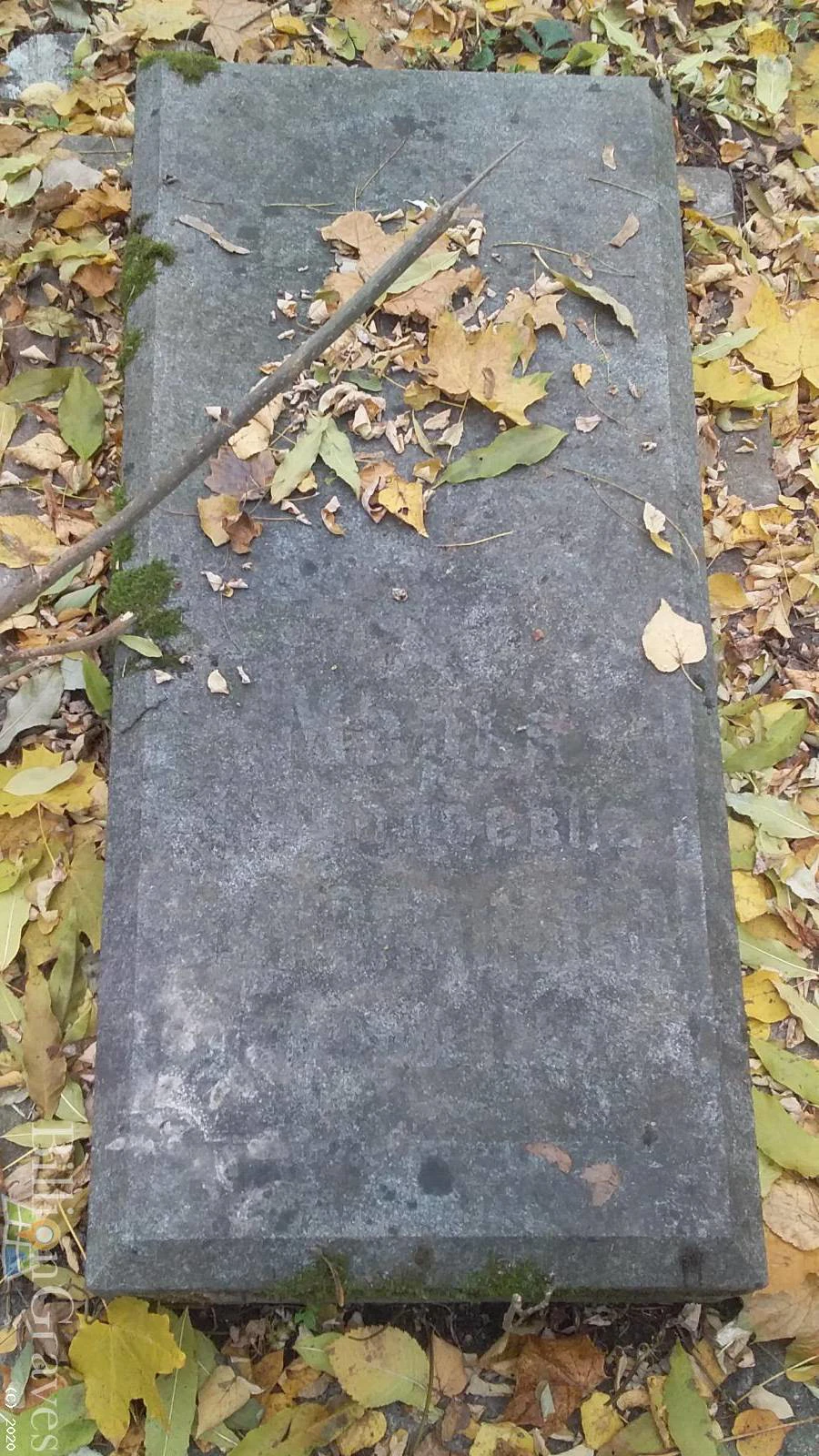 Memorial image