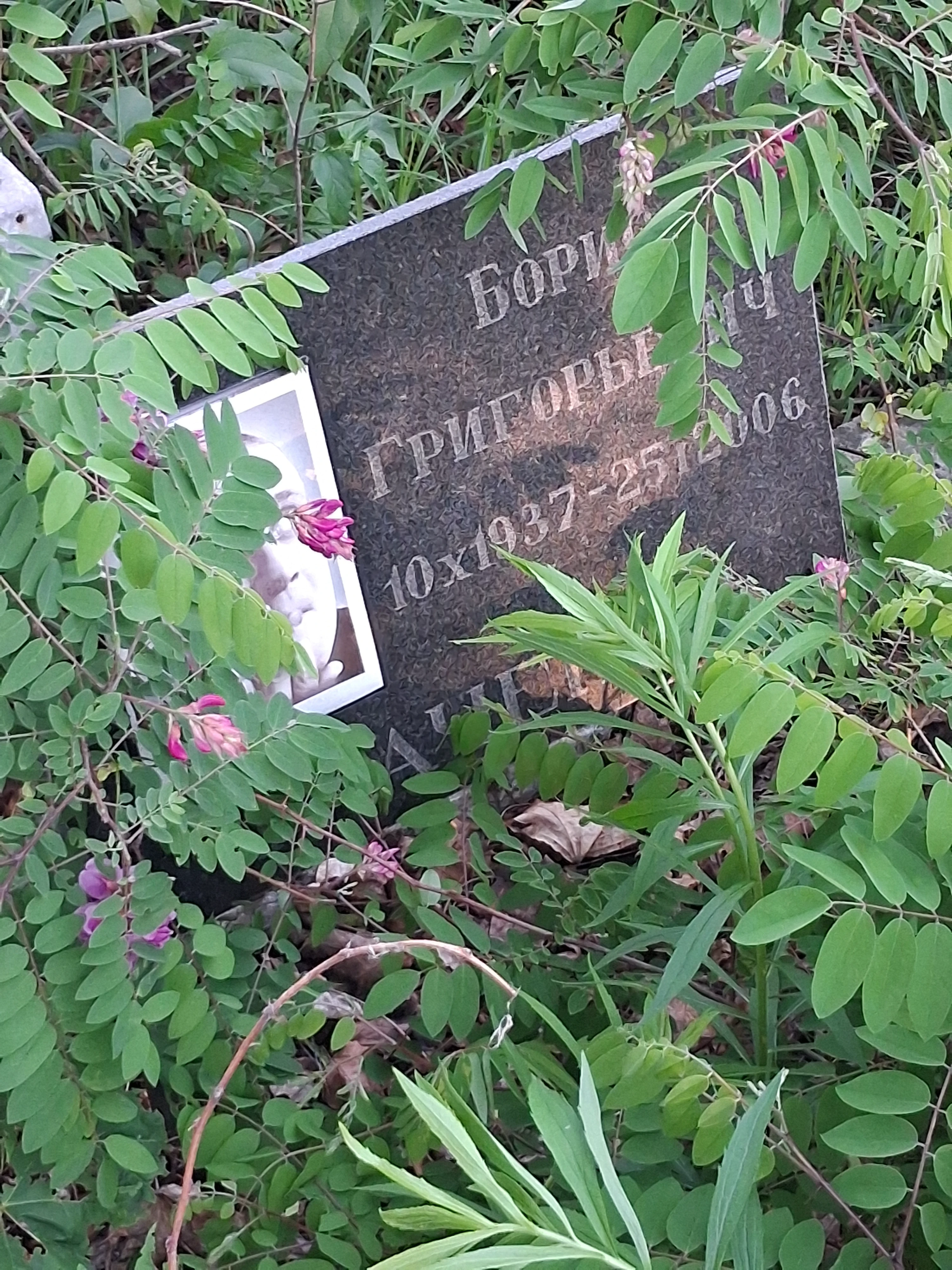 Memorial image