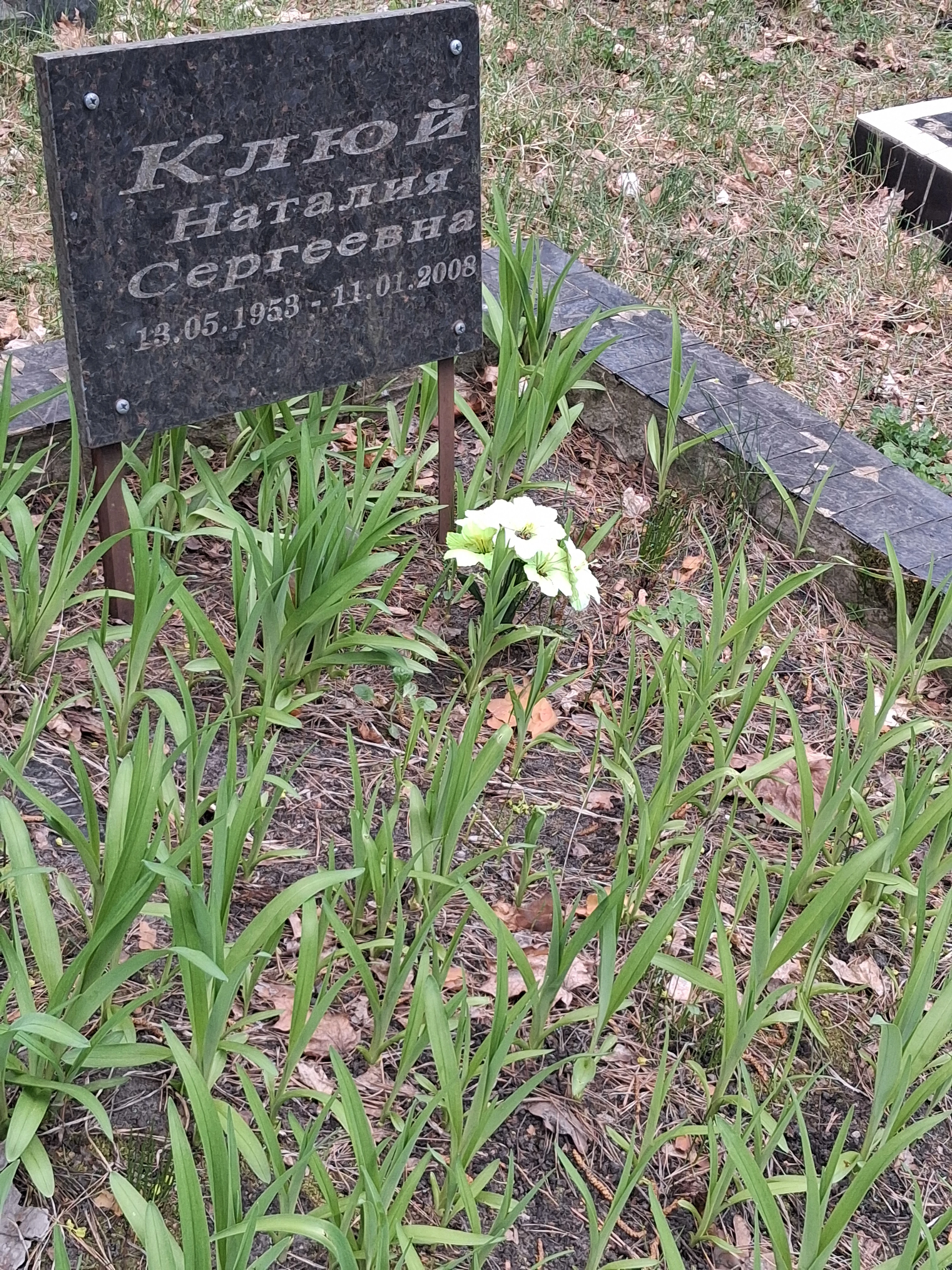 Memorial image