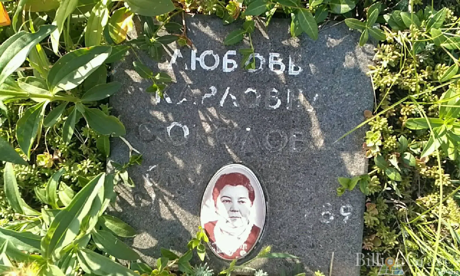 Memorial image