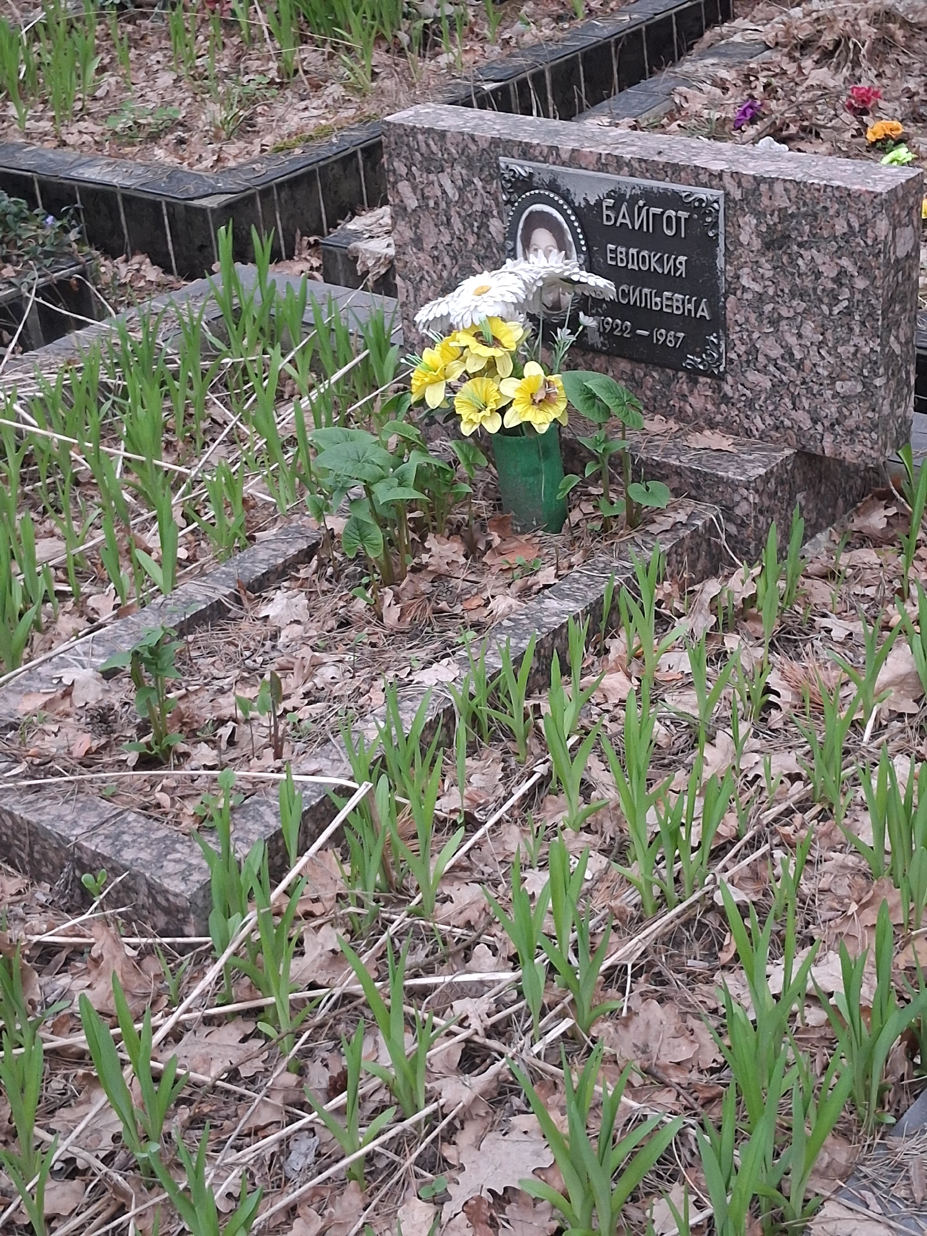 Memorial image