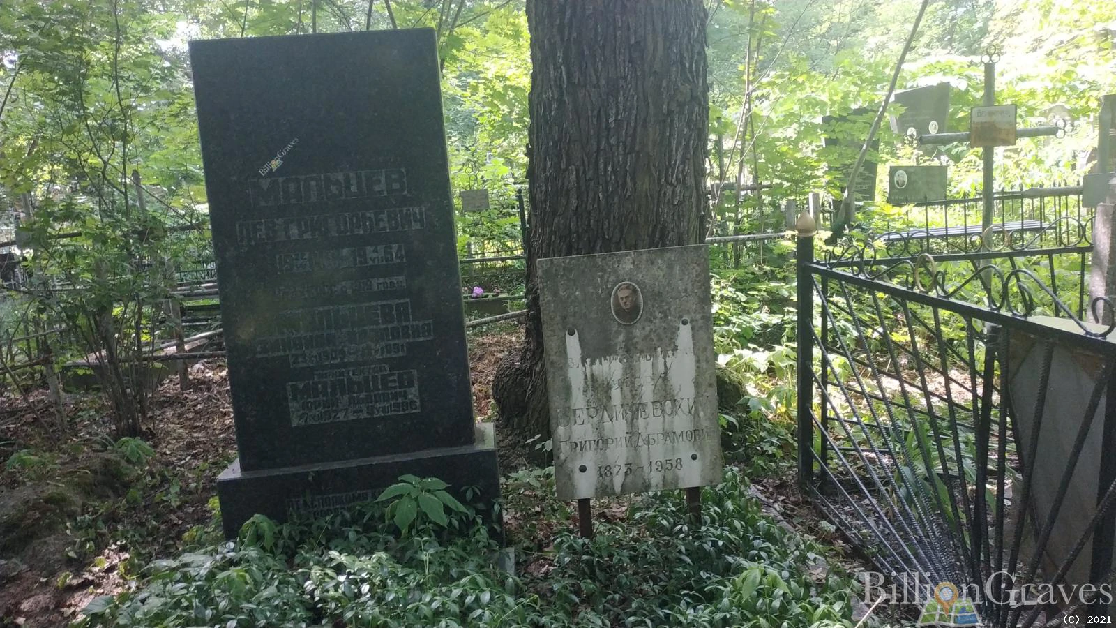 Memorial image