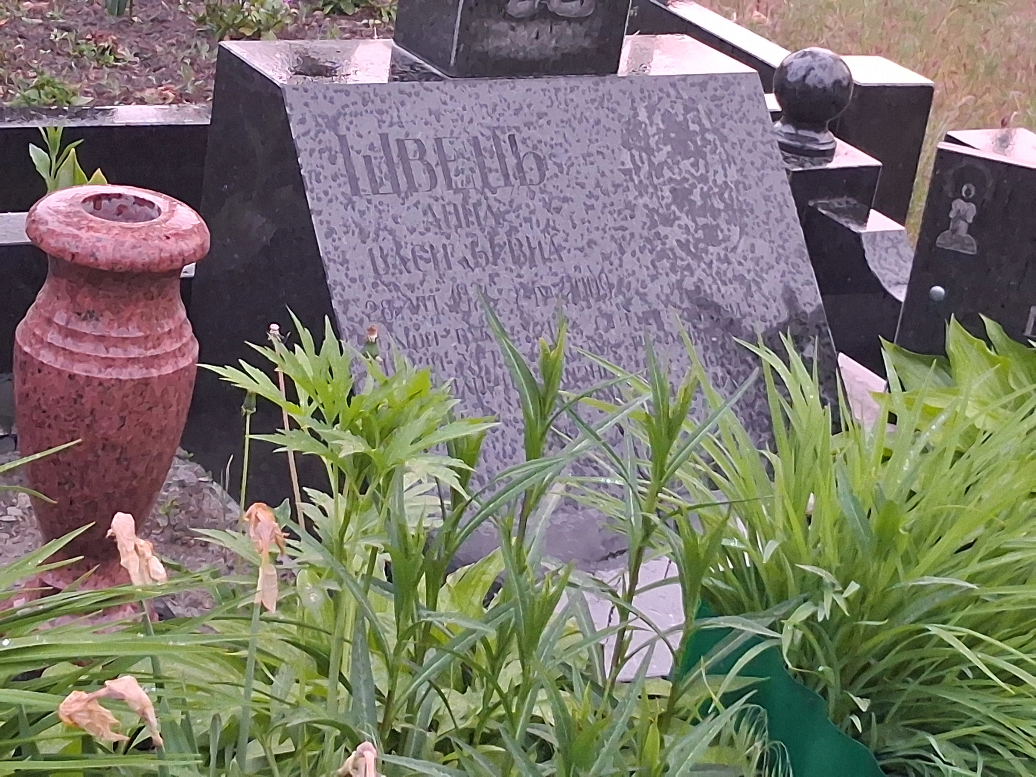 Memorial image