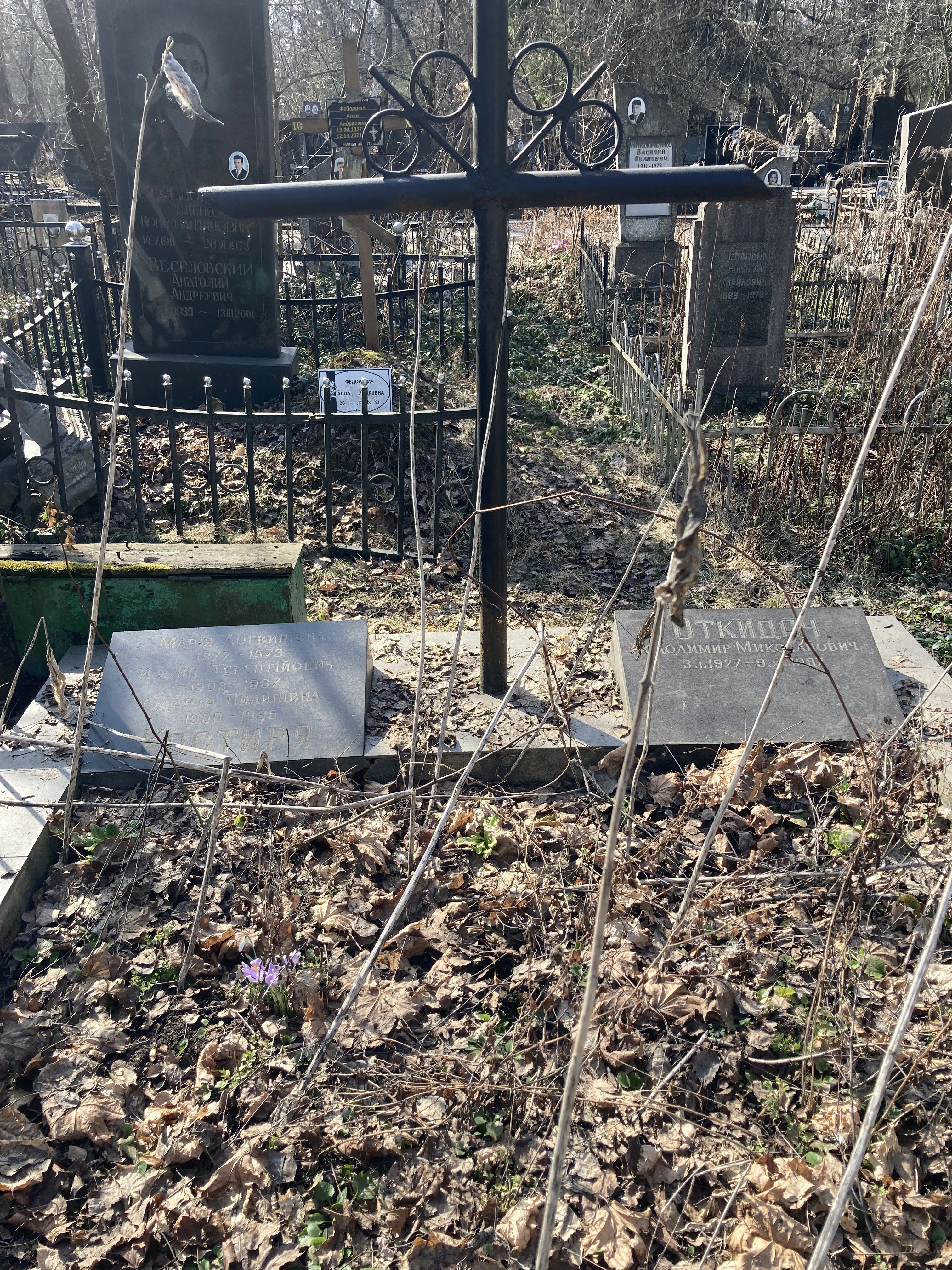 Memorial image