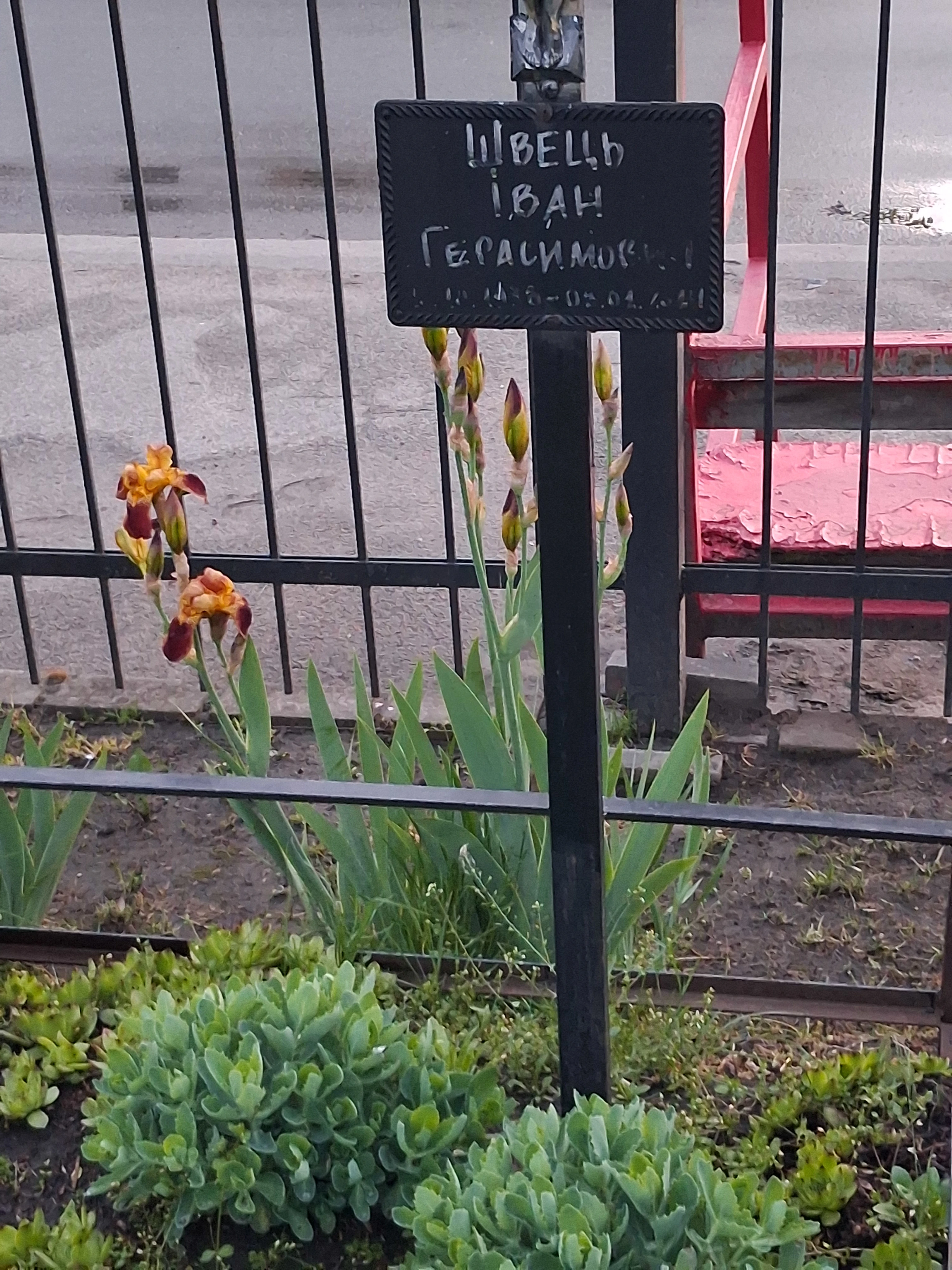Memorial image