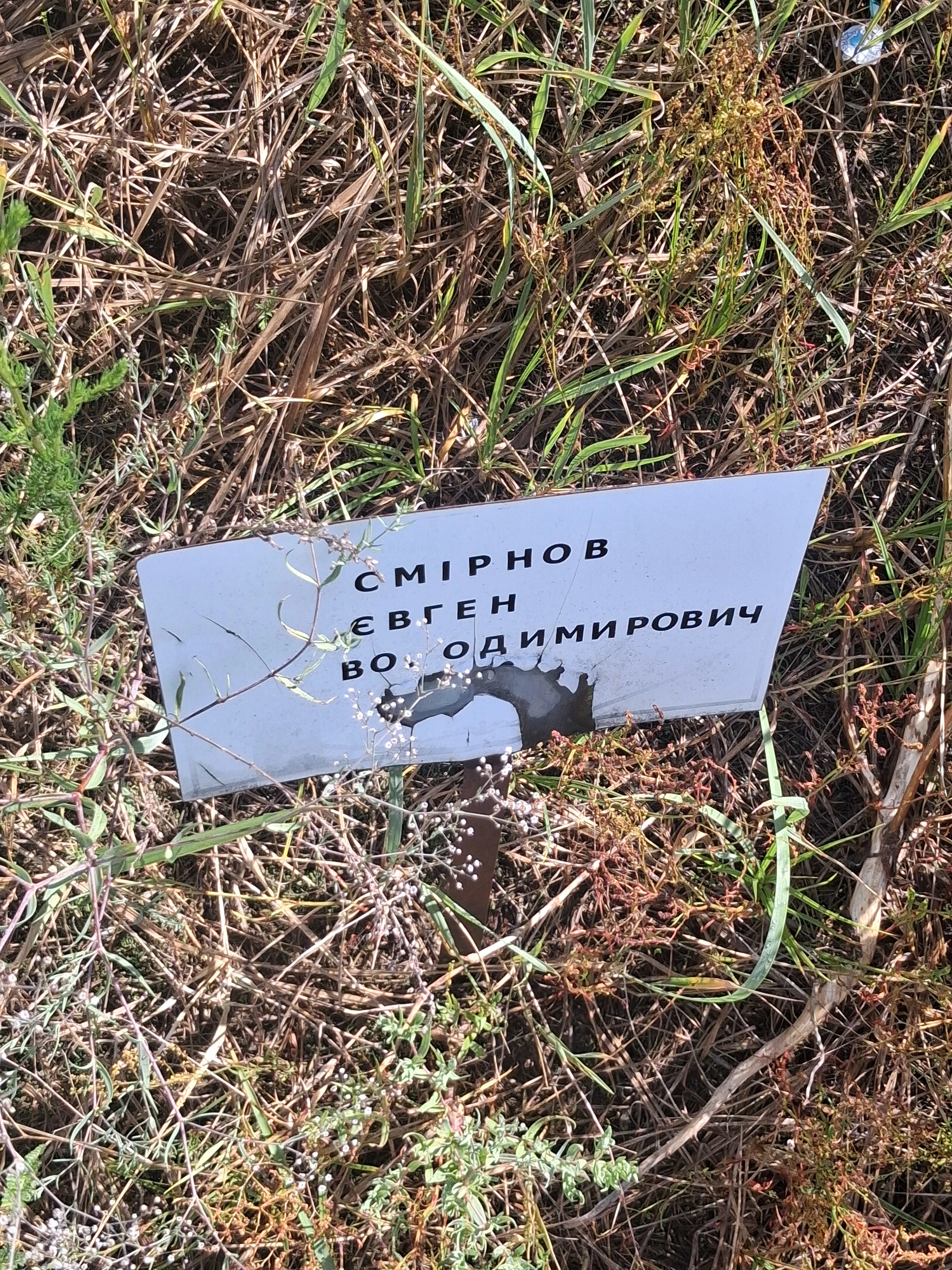 Memorial image