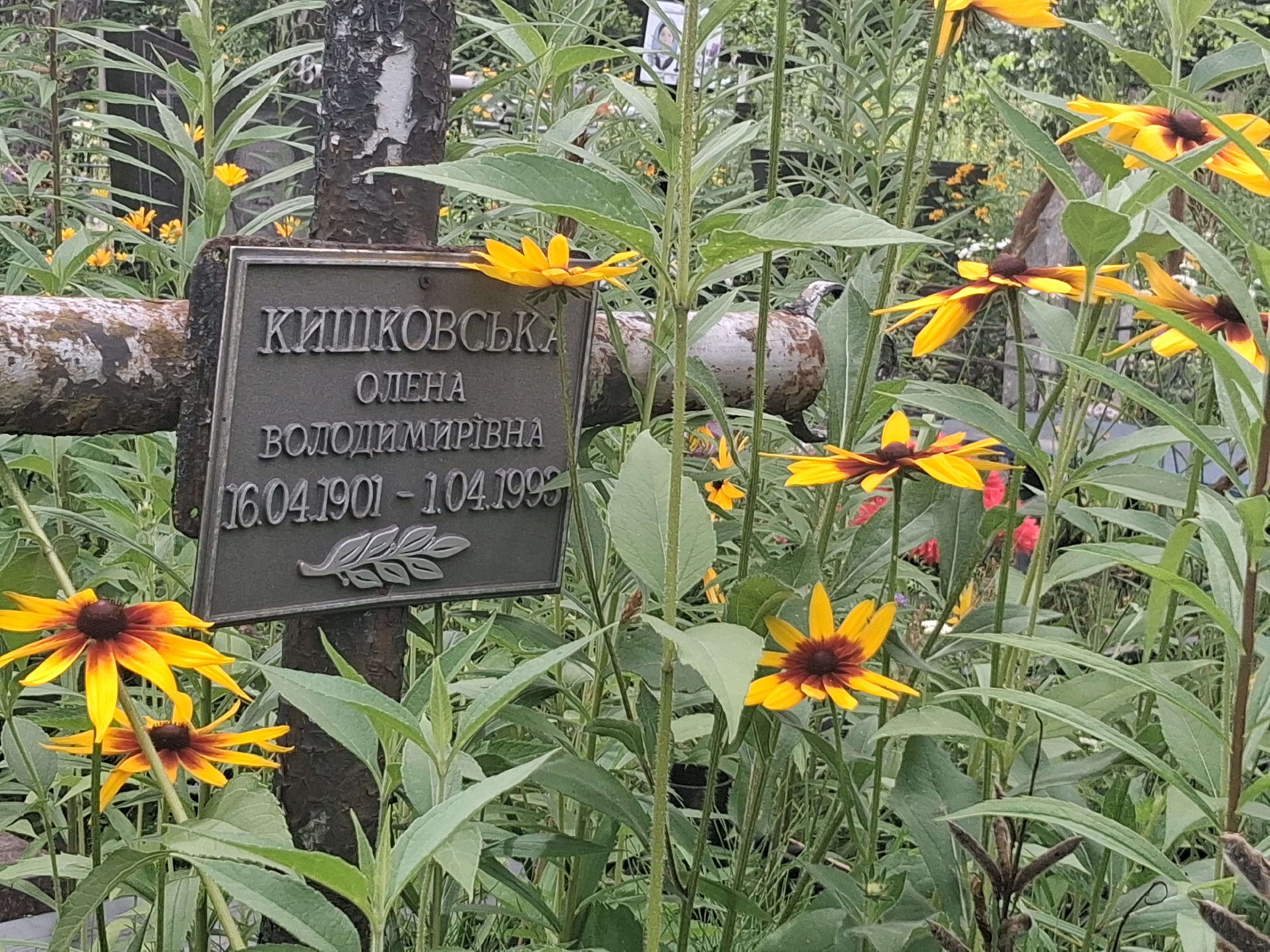 Memorial image