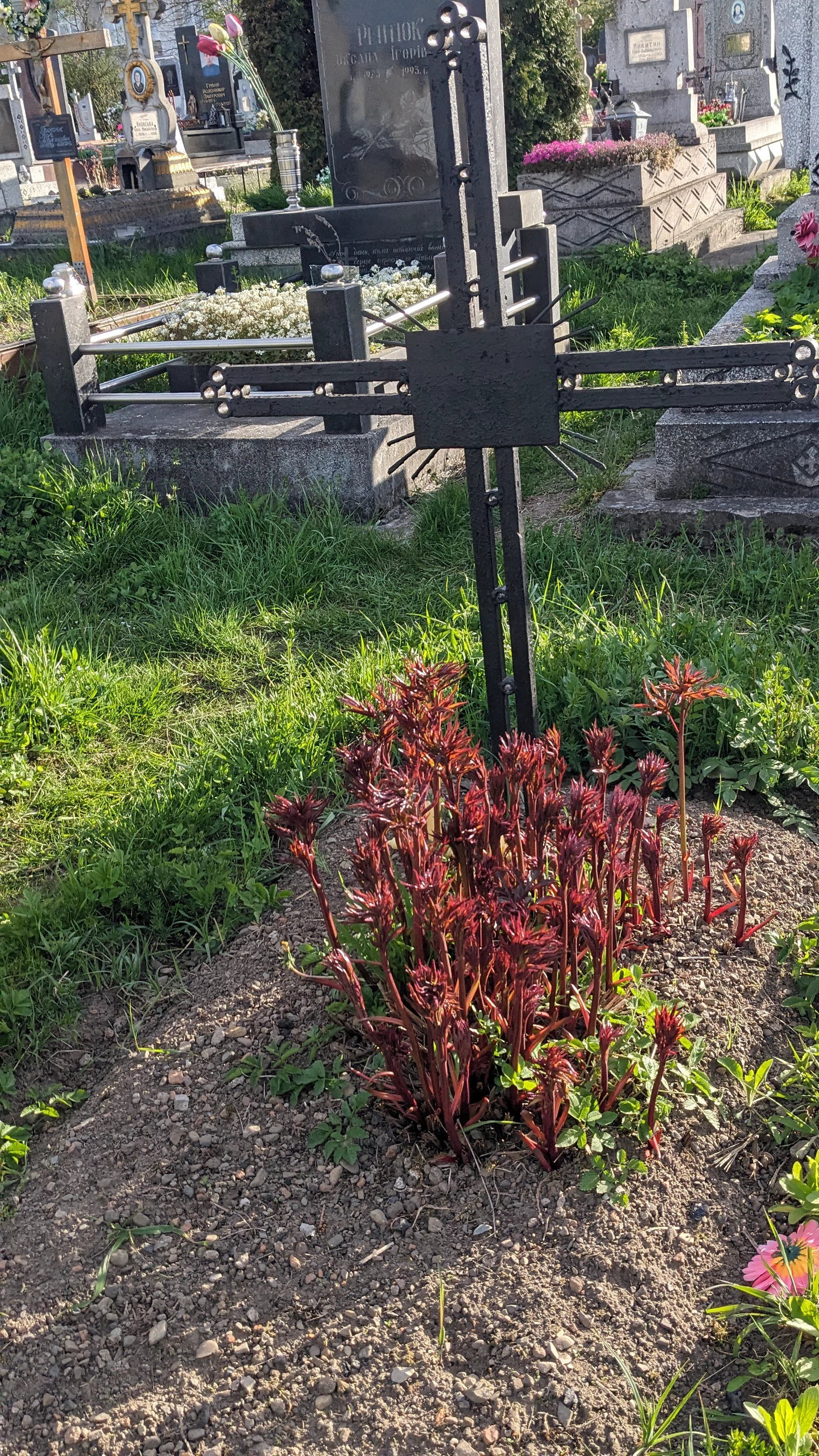 Memorial image