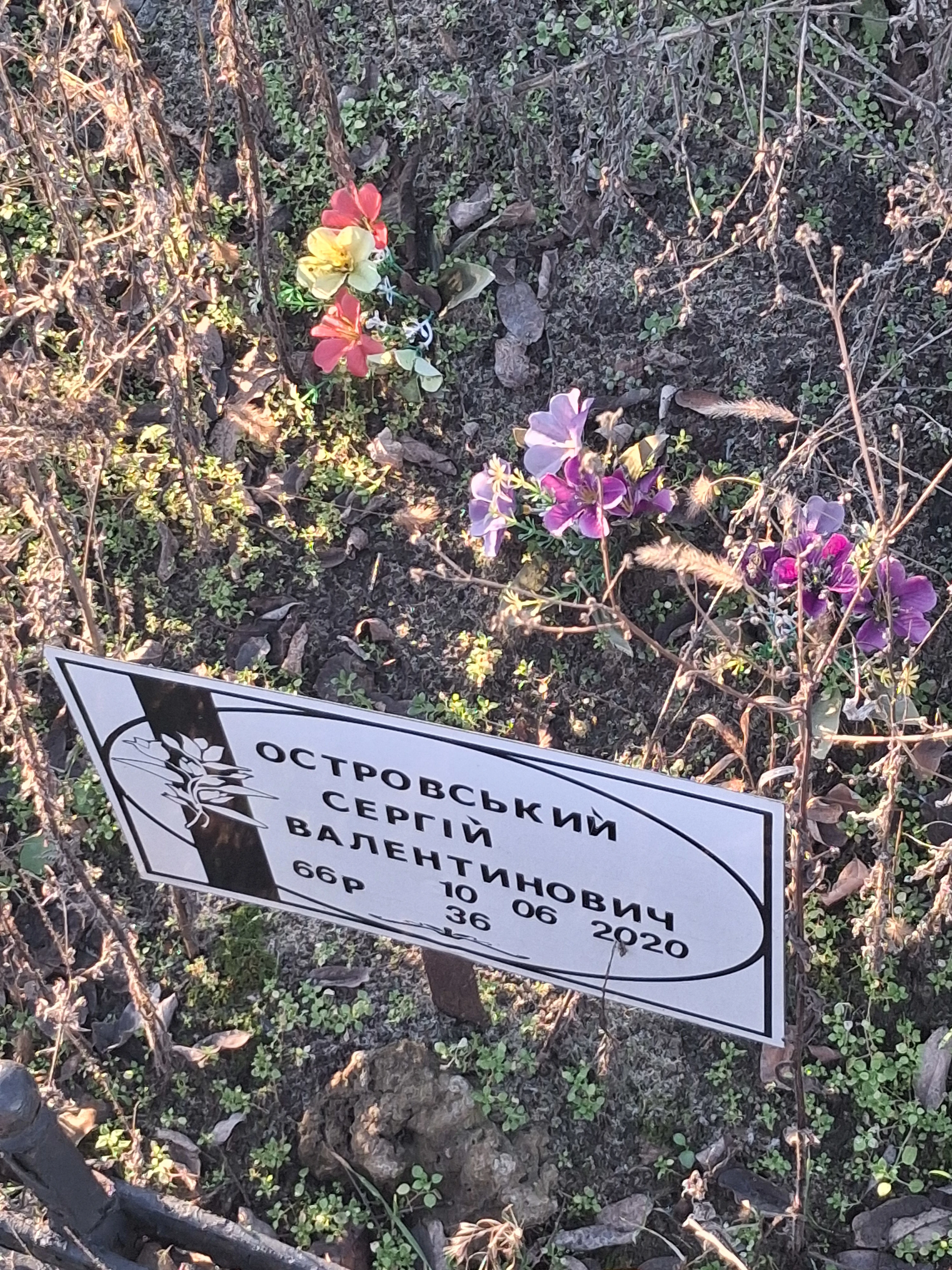 Memorial image