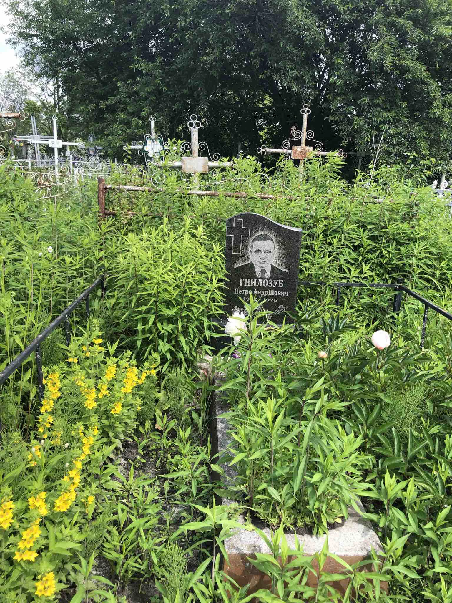 Memorial image