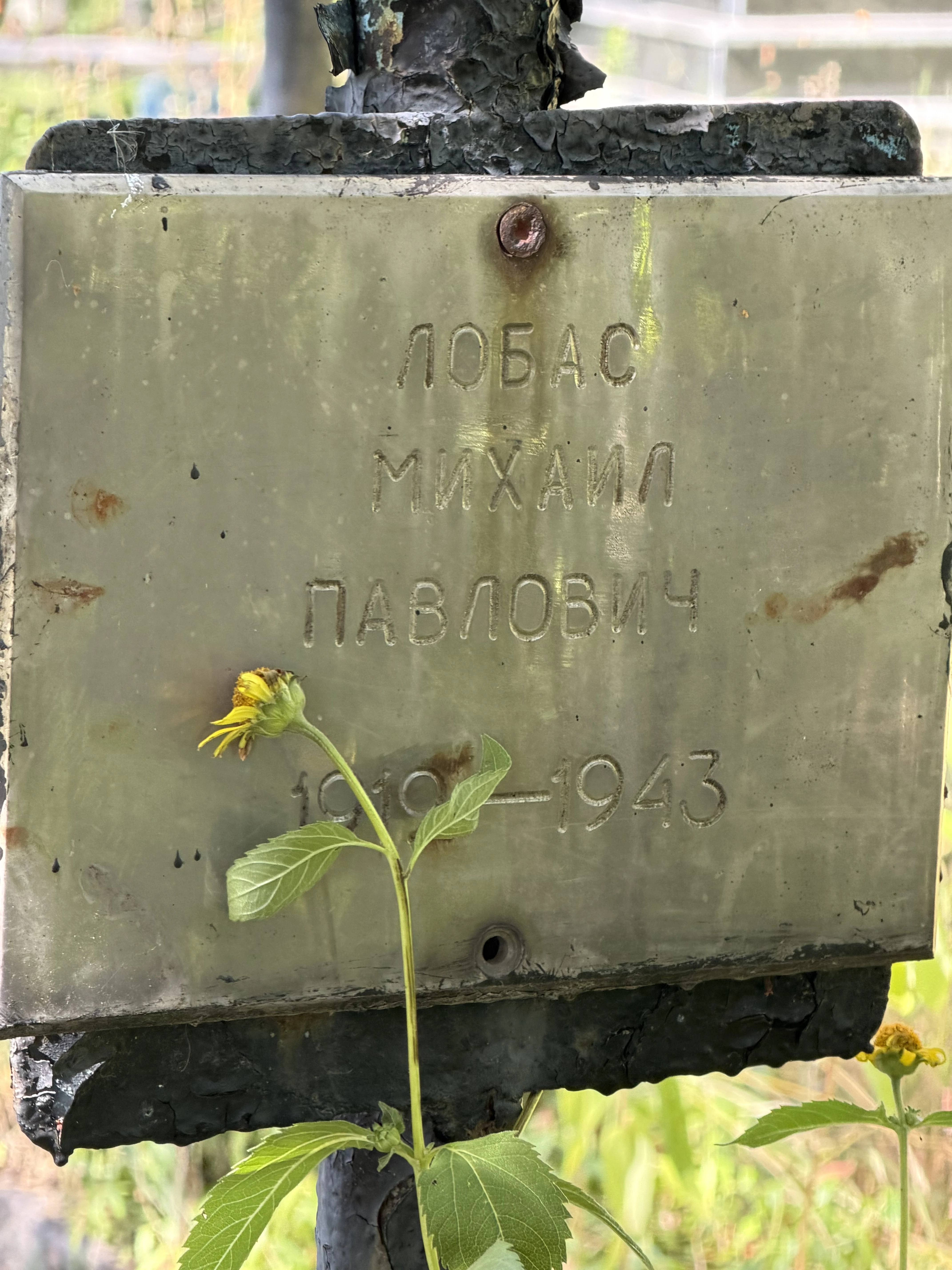 Memorial image