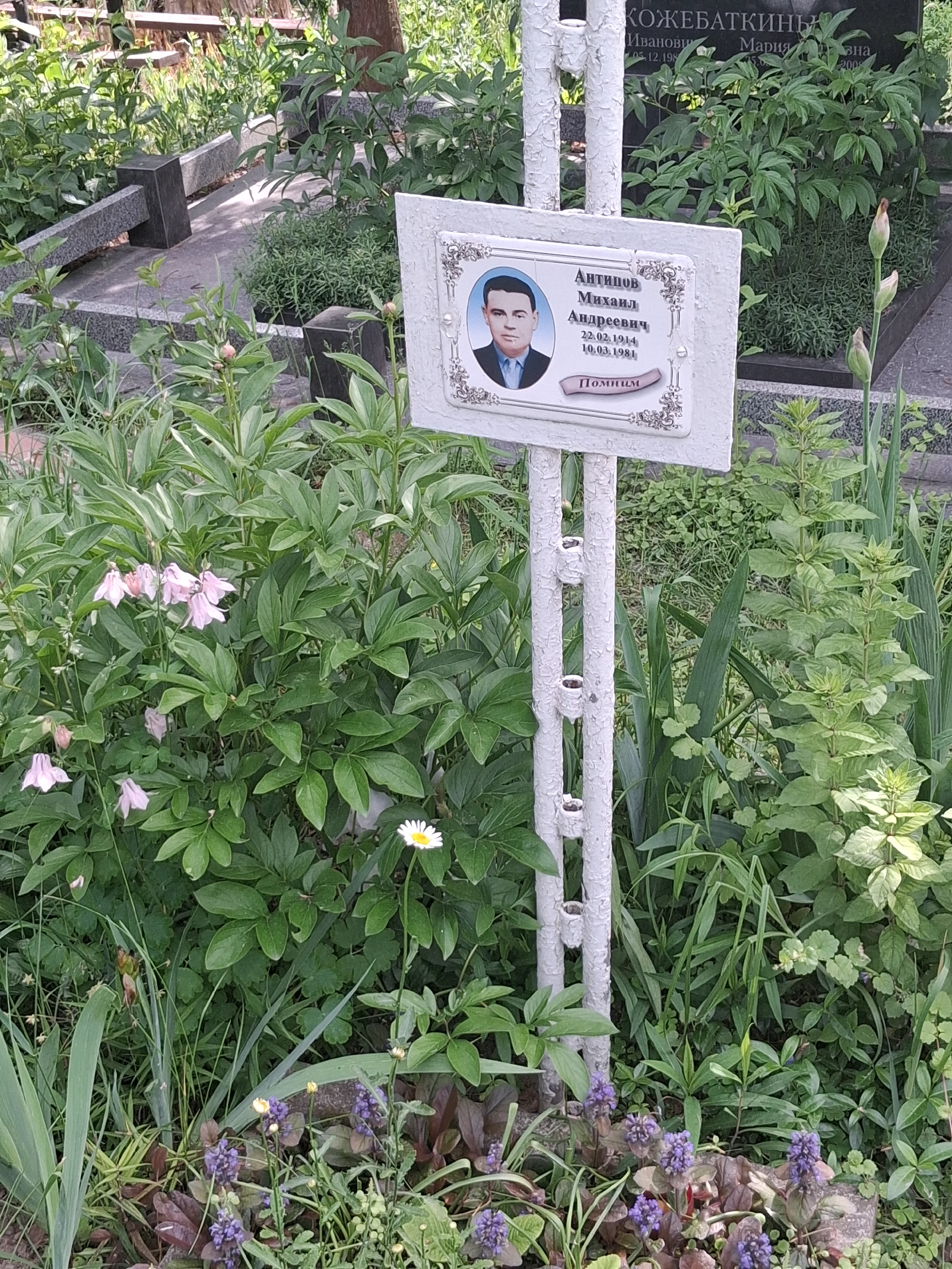 Memorial image