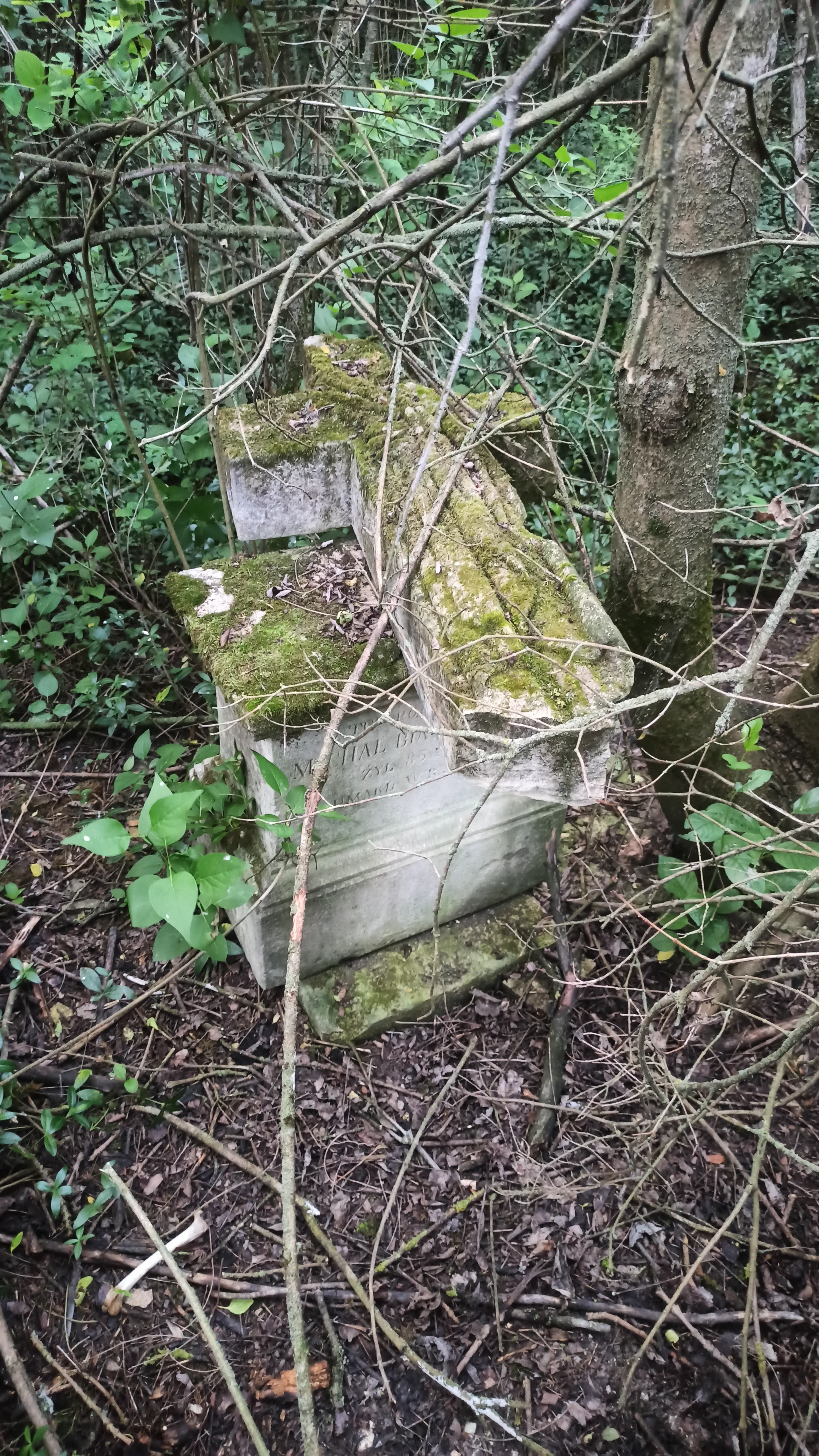 Memorial image