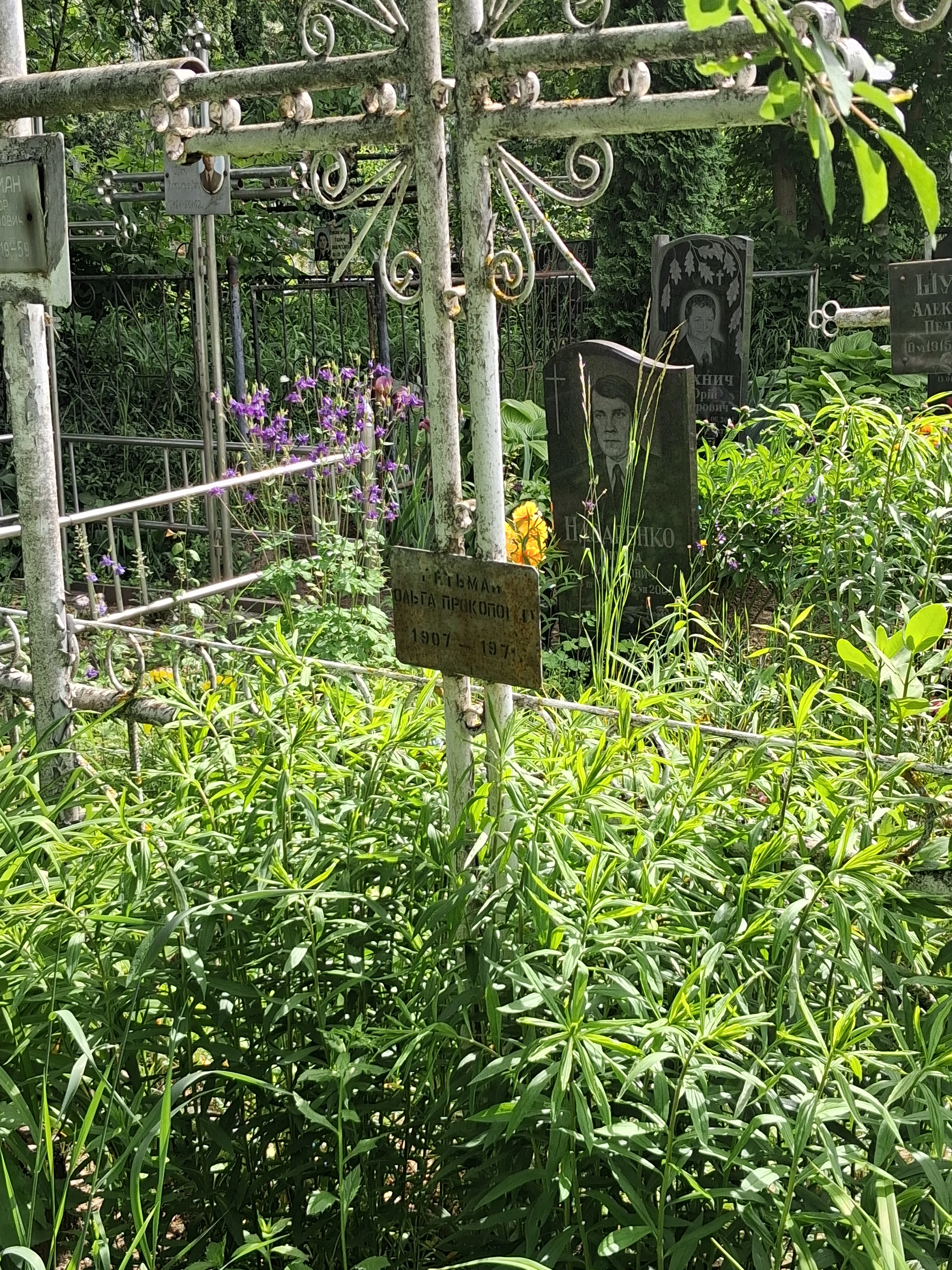 Memorial image