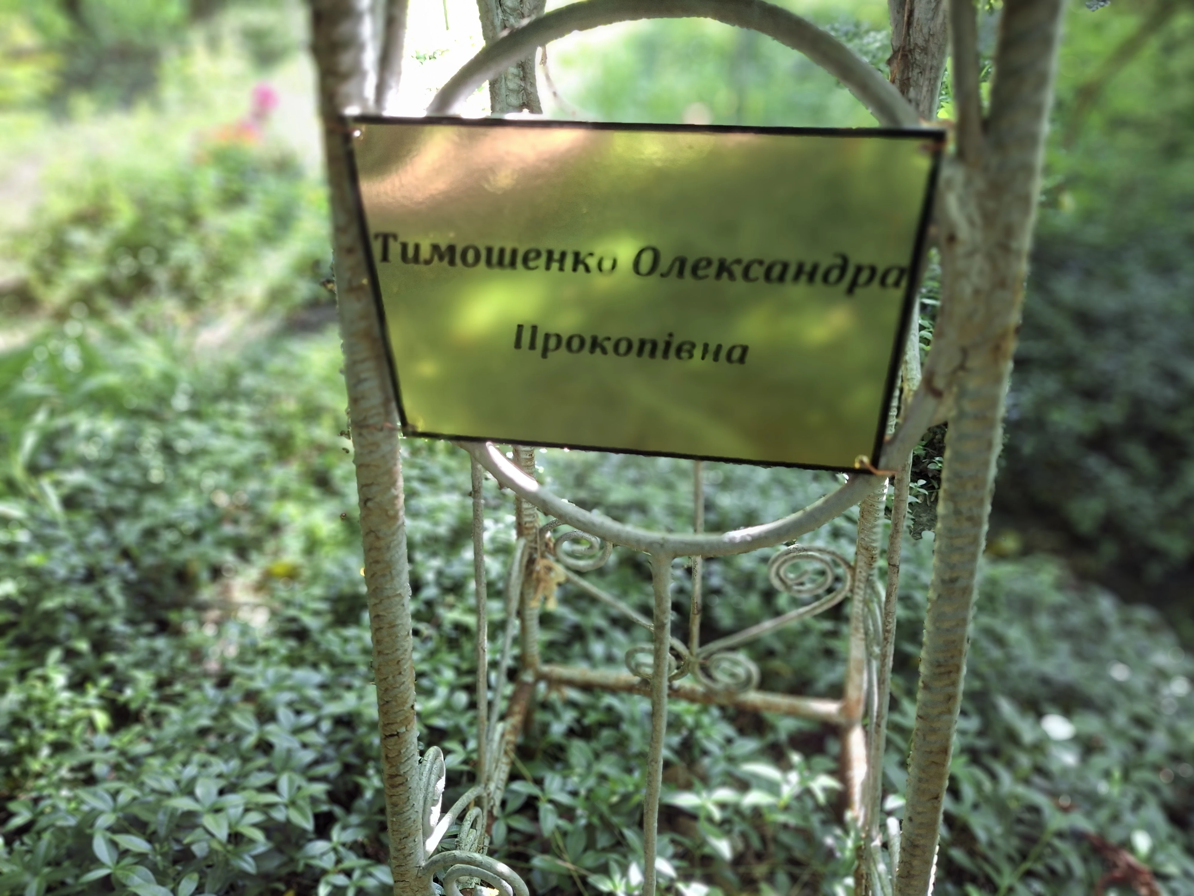 Memorial image