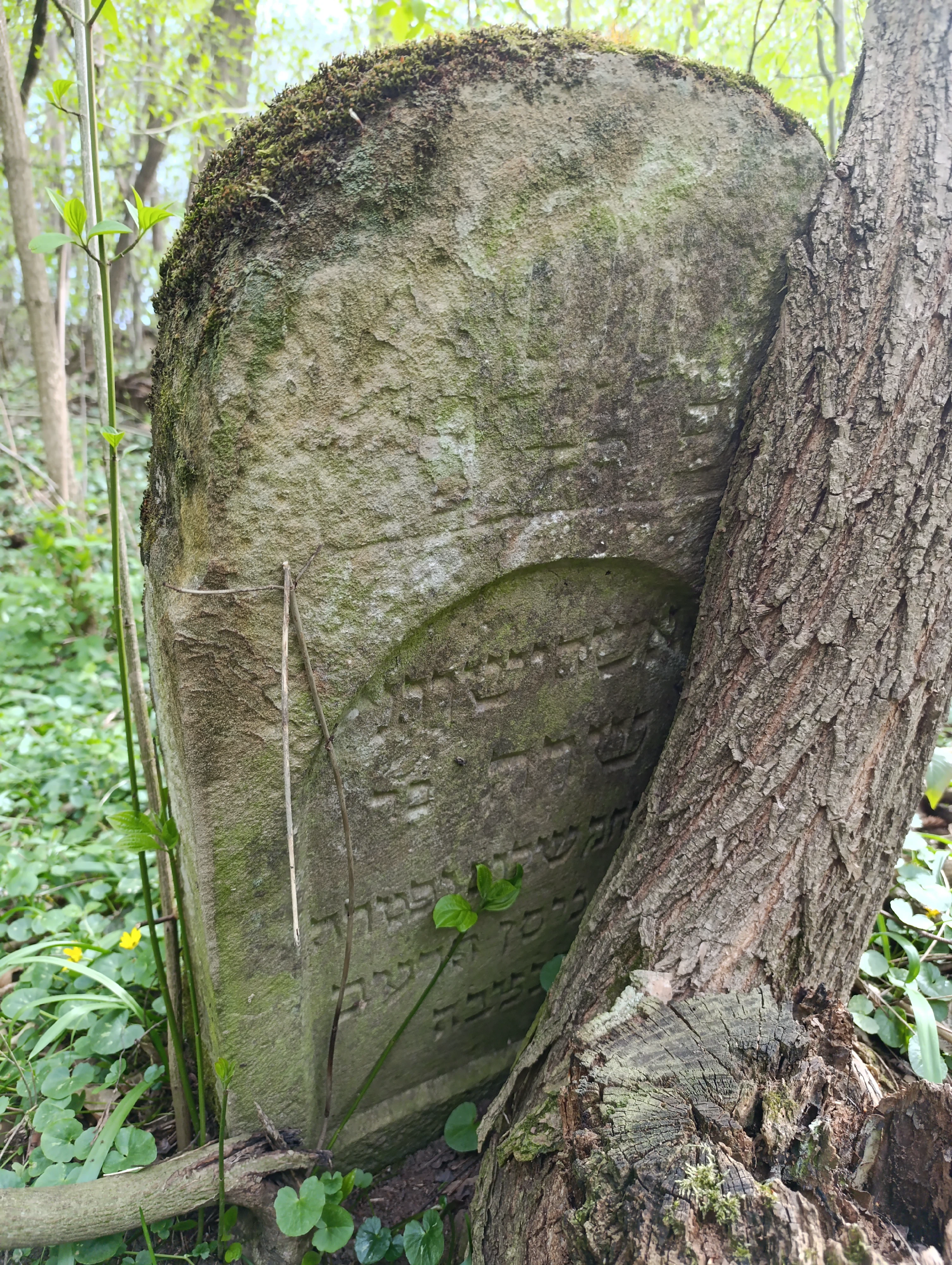 Memorial image