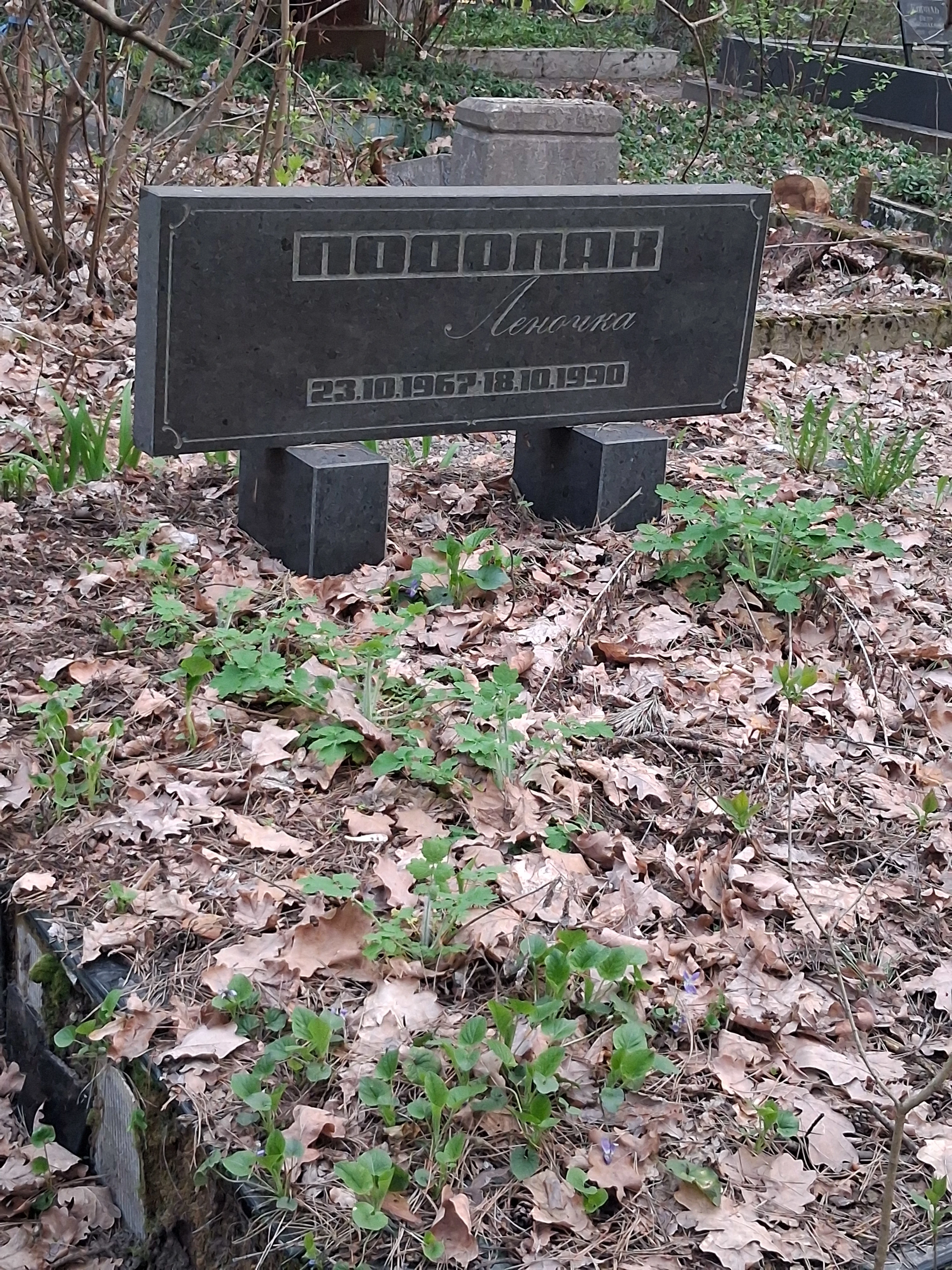 Memorial image