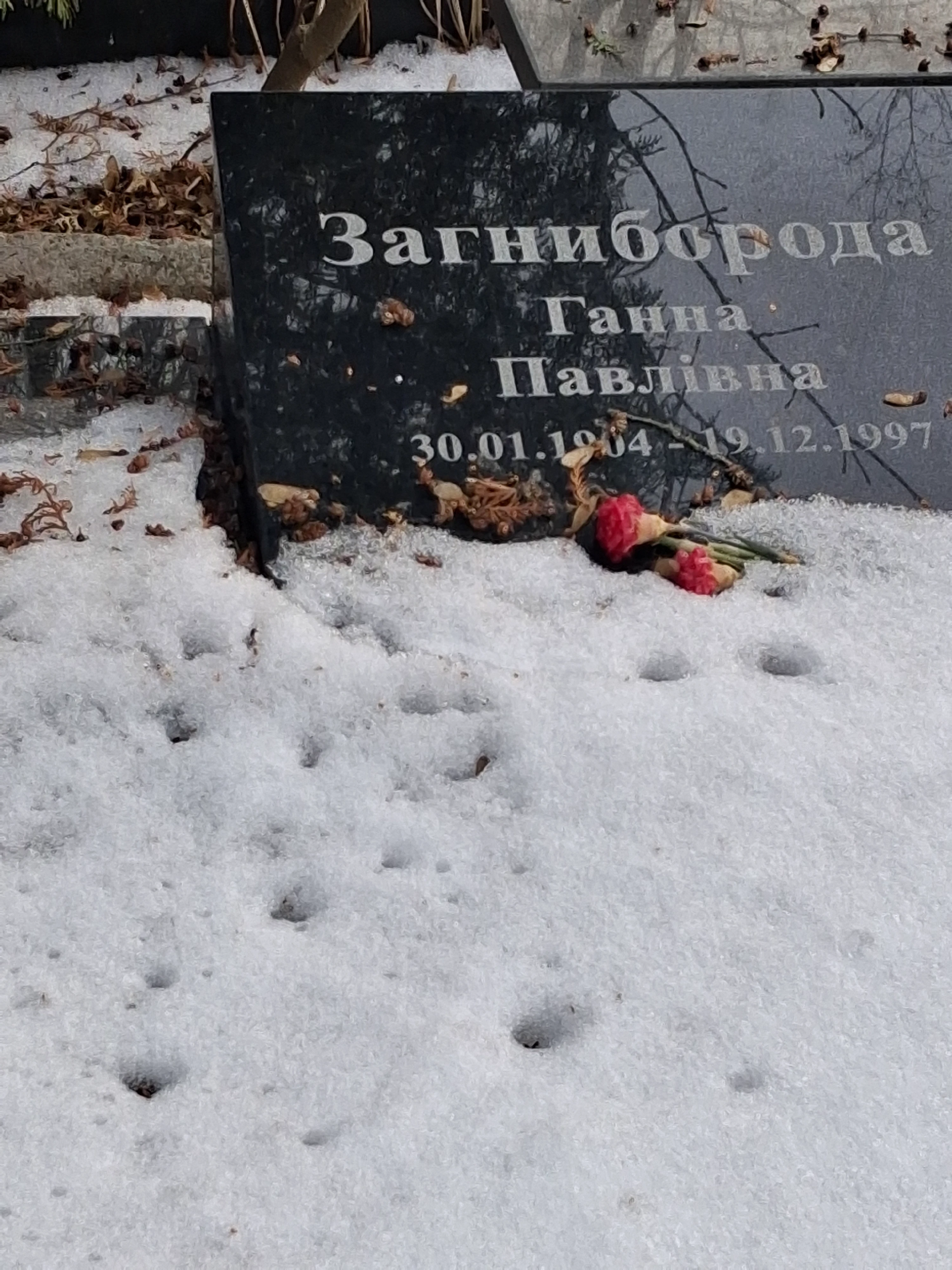 Memorial image