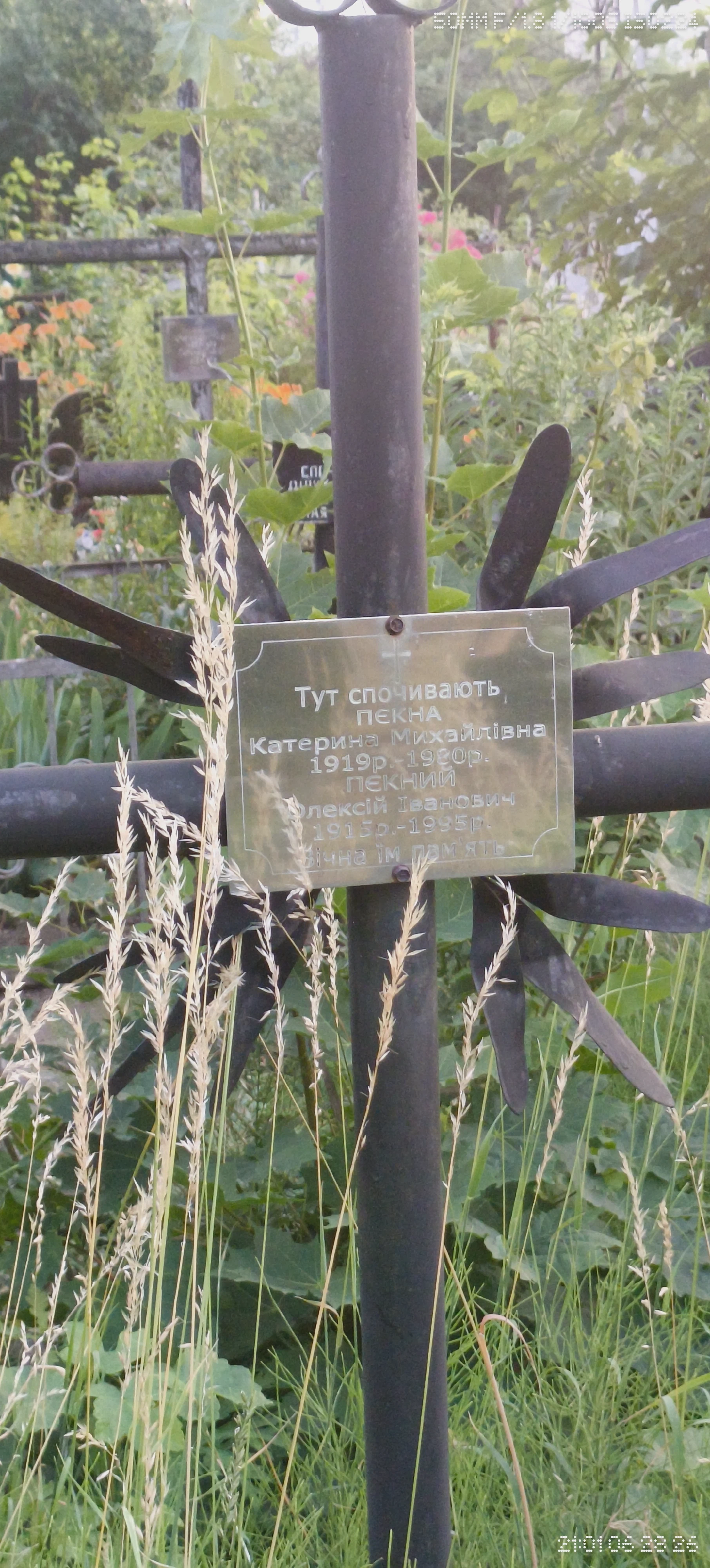 Memorial image