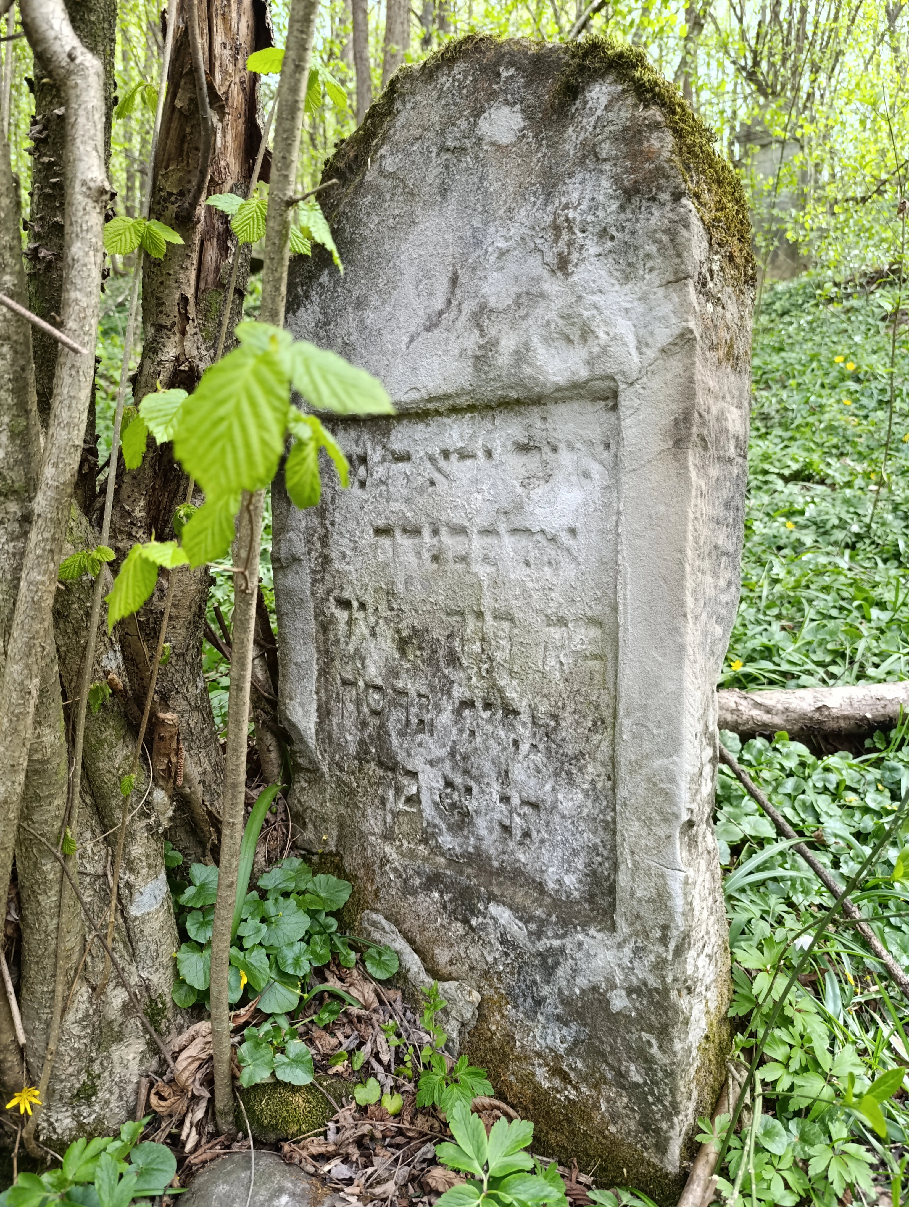 Memorial image