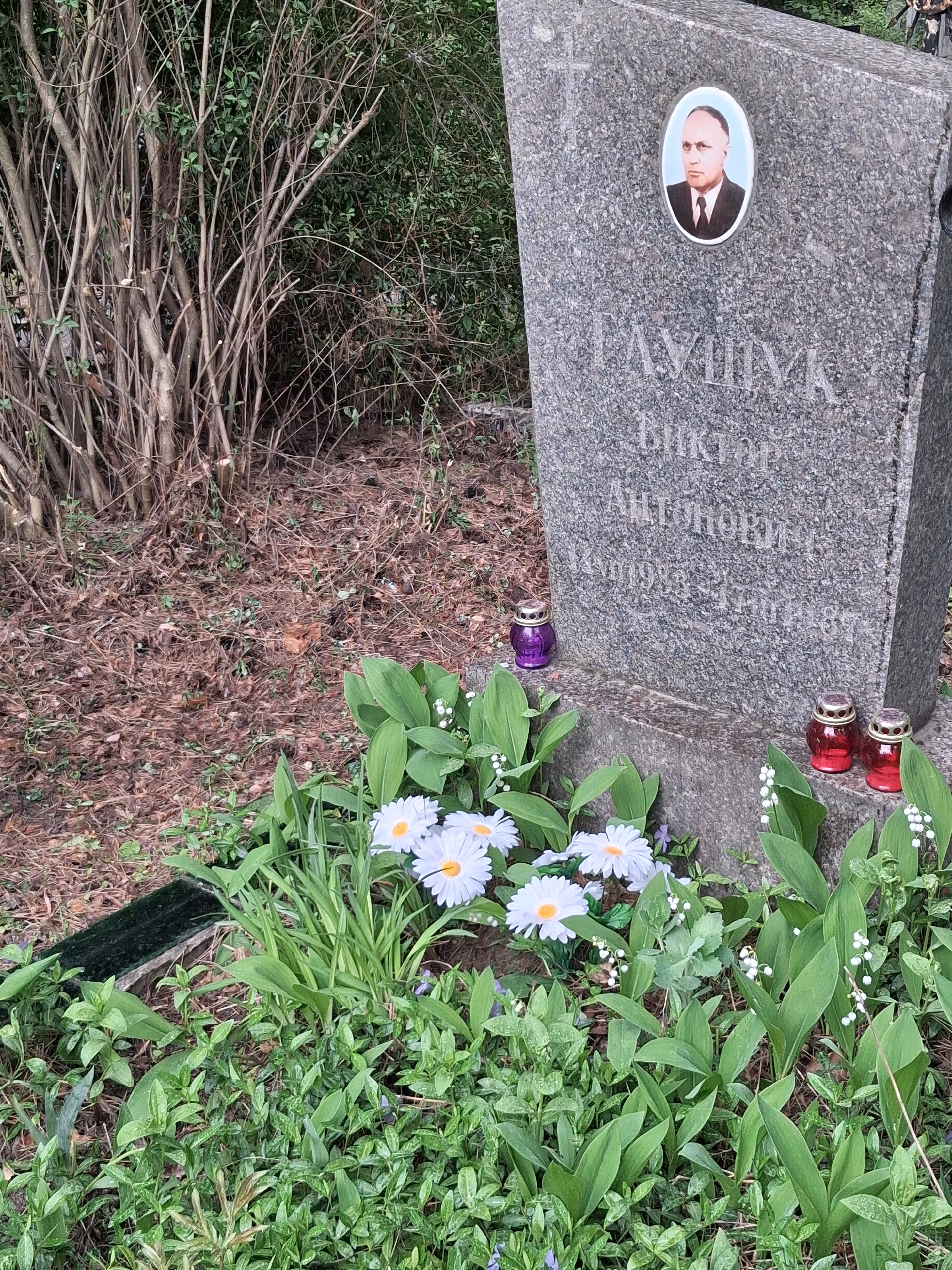 Memorial image