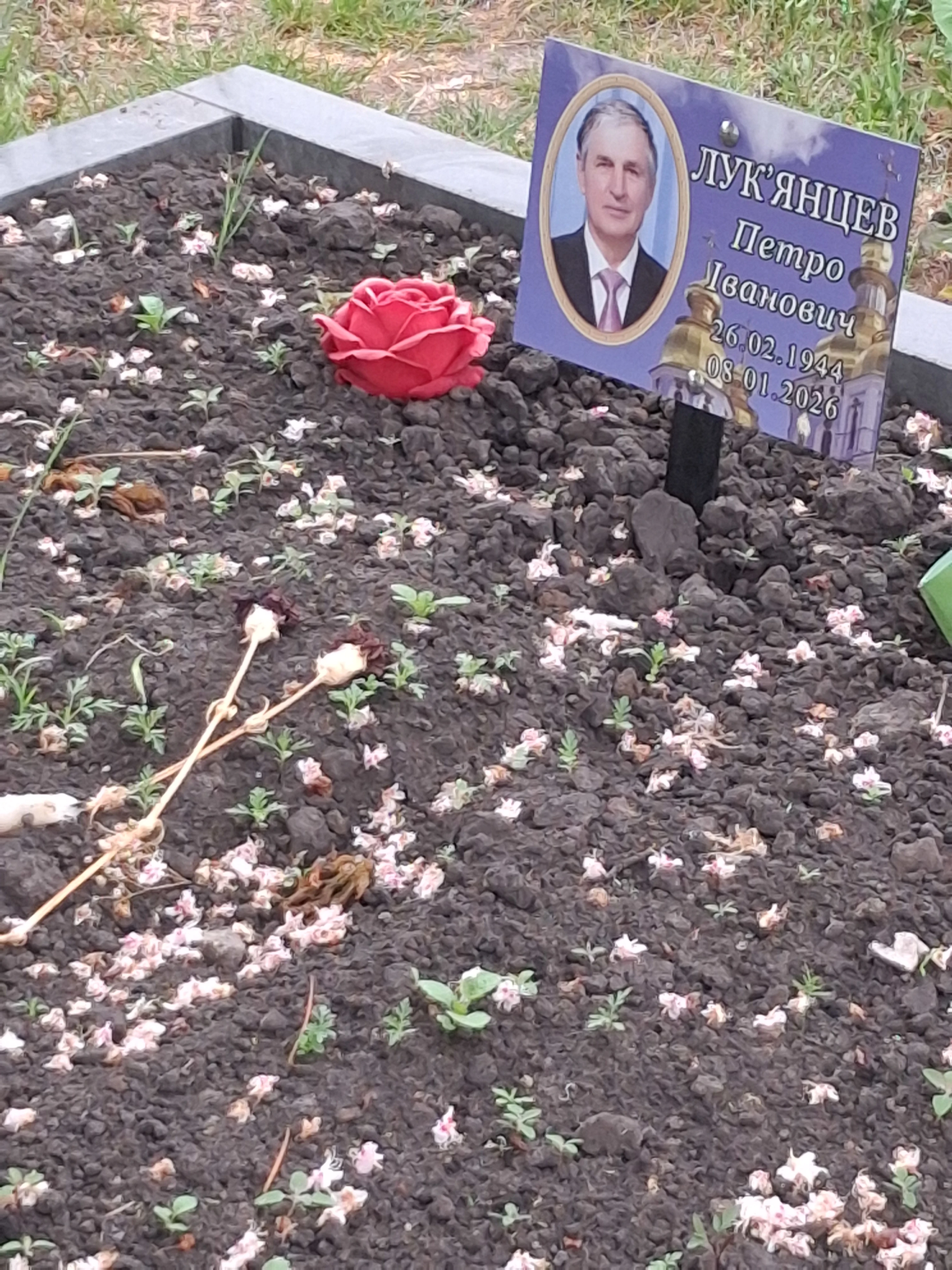 Memorial image