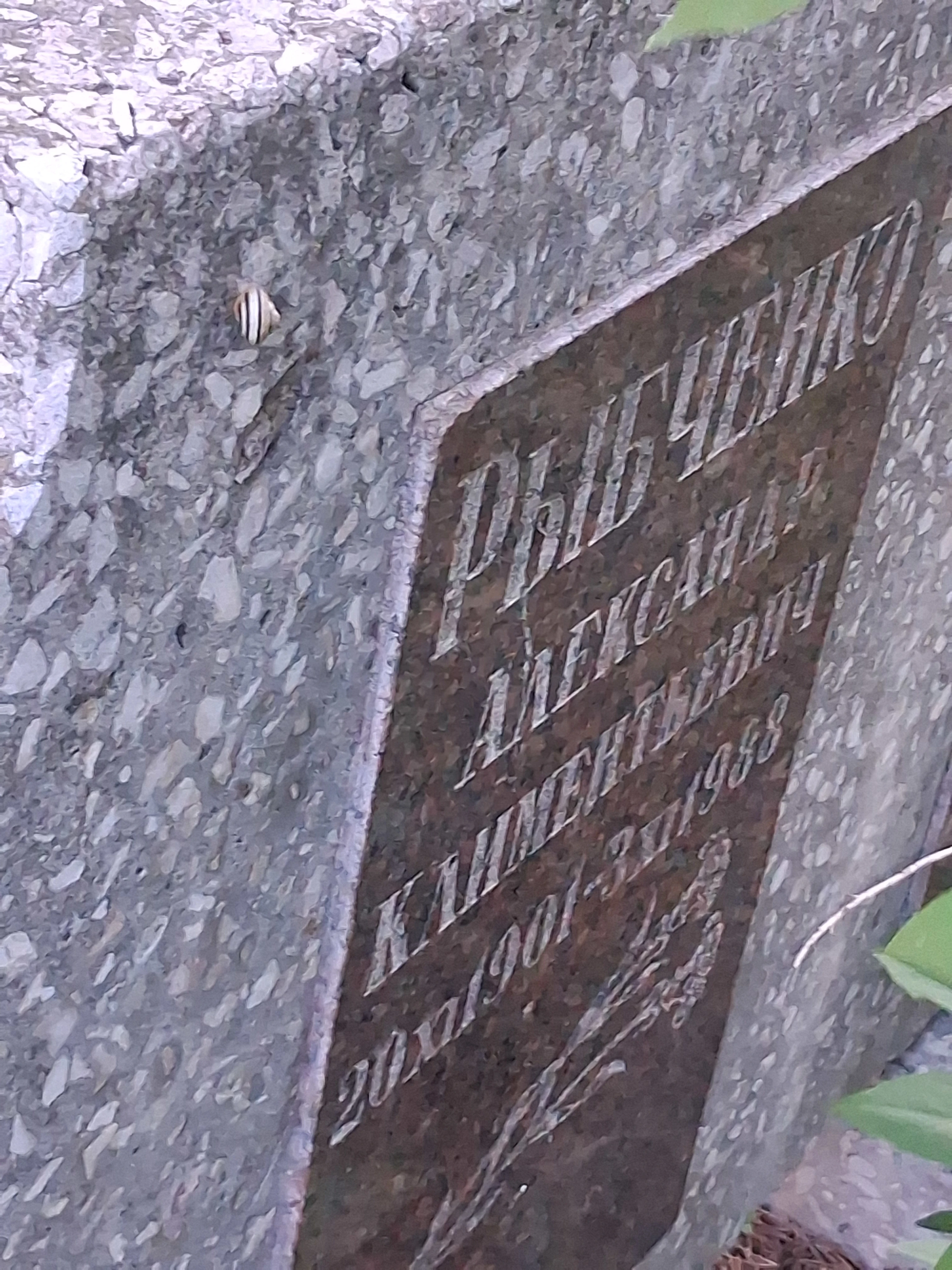 Memorial image