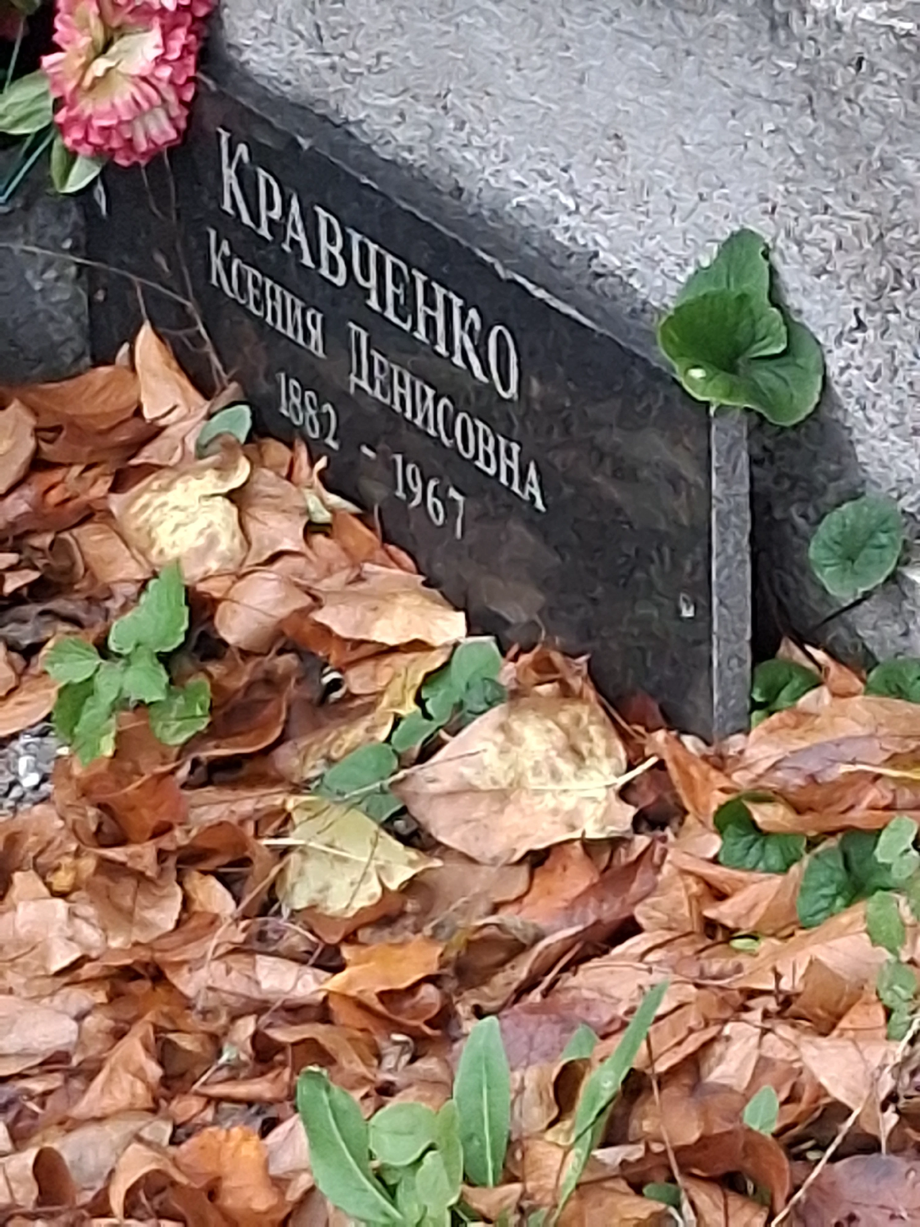 Memorial image