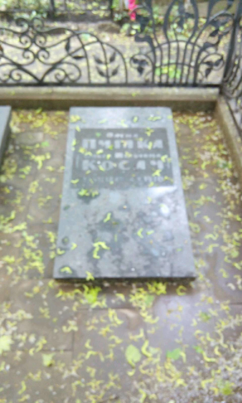 Memorial image