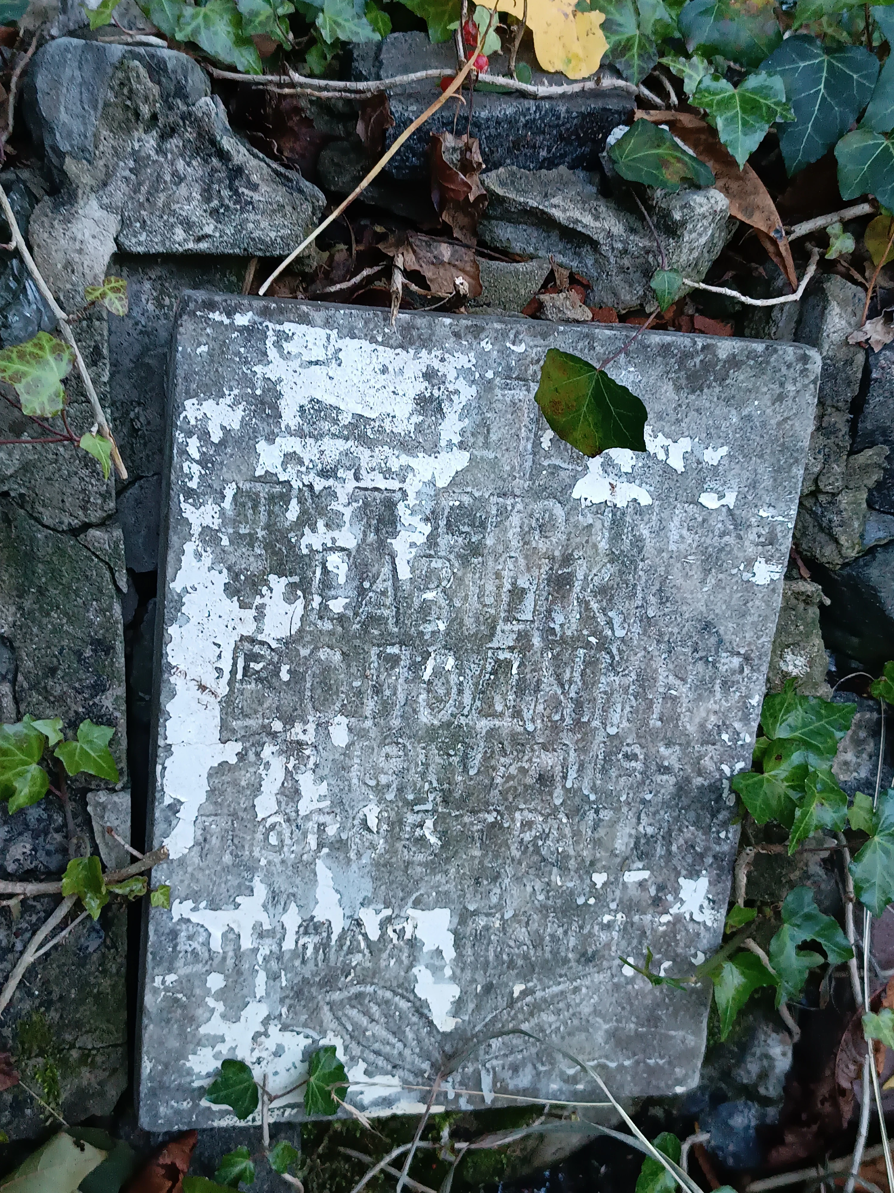 Memorial image