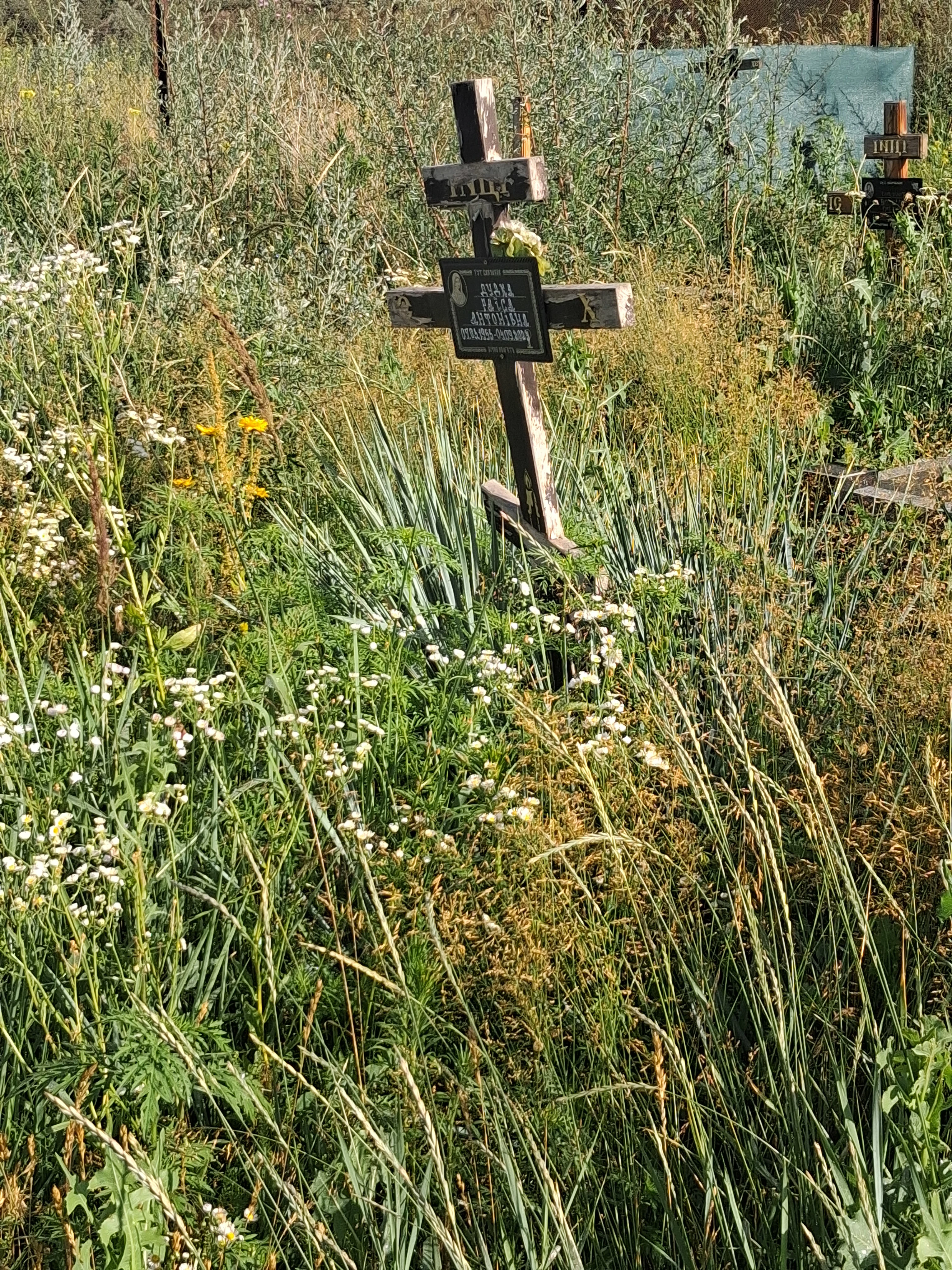 Memorial image