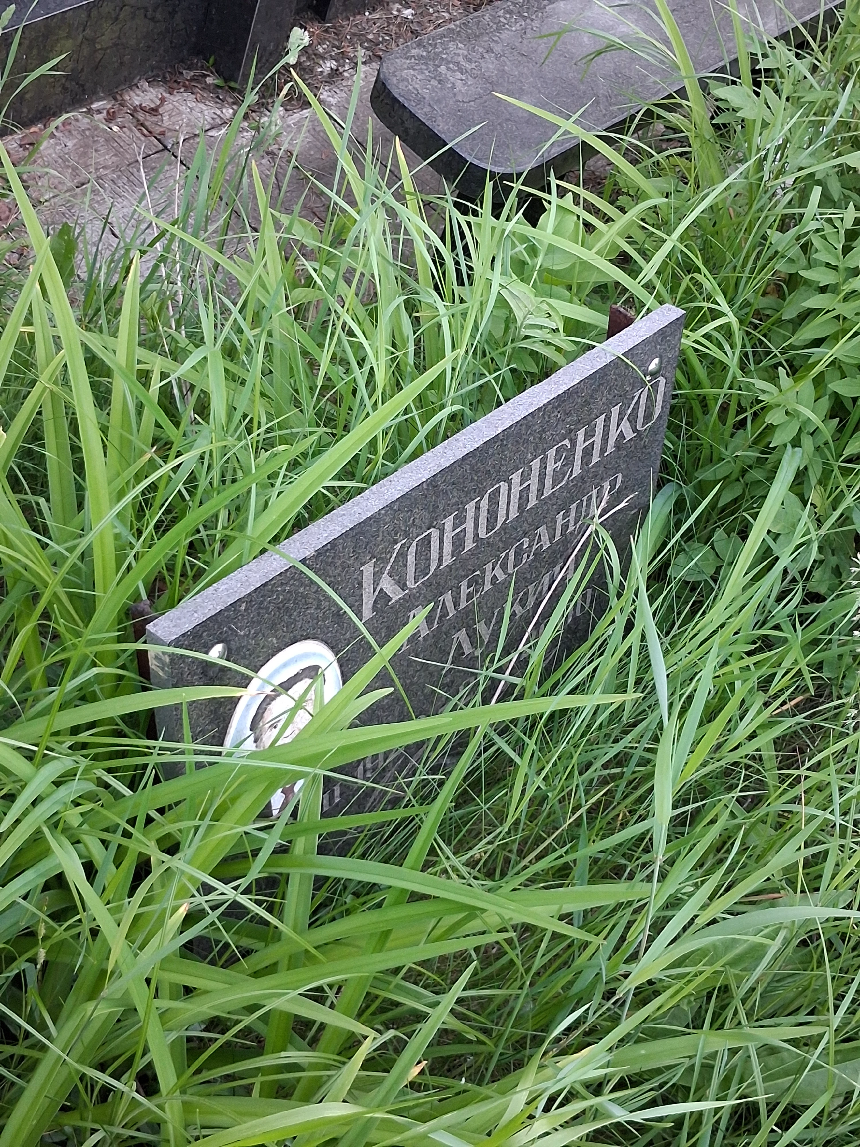 Memorial image