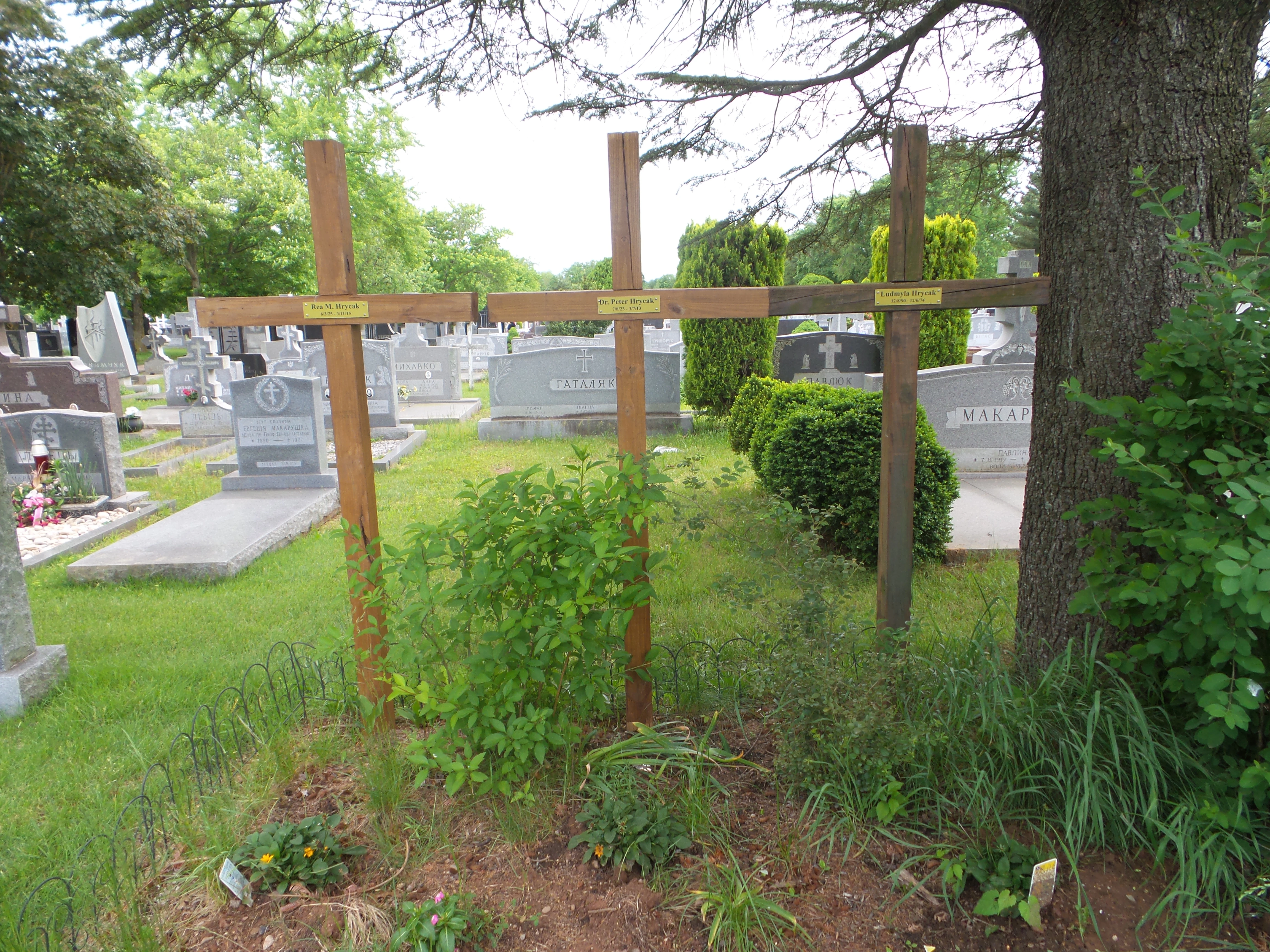 Memorial image
