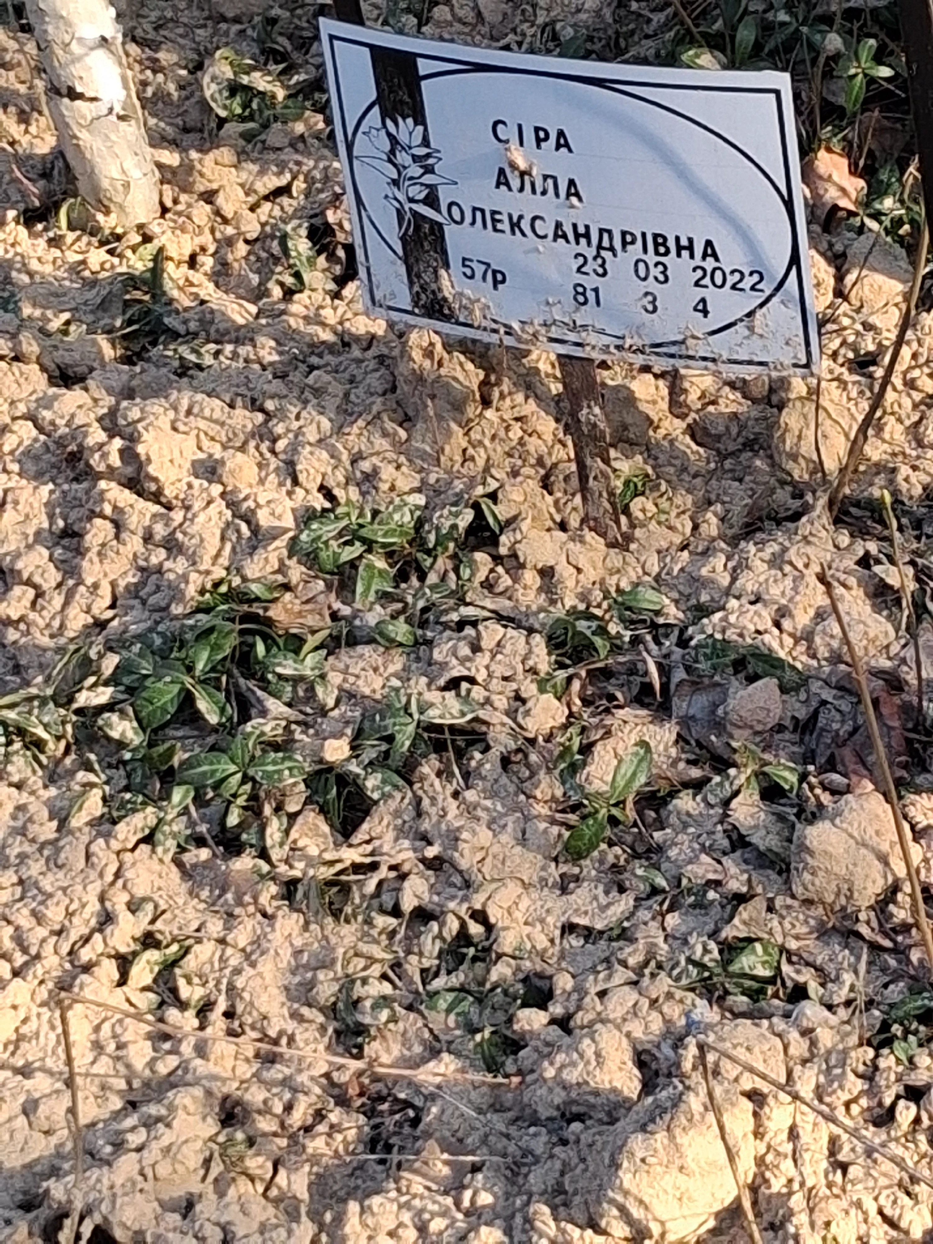 Memorial image