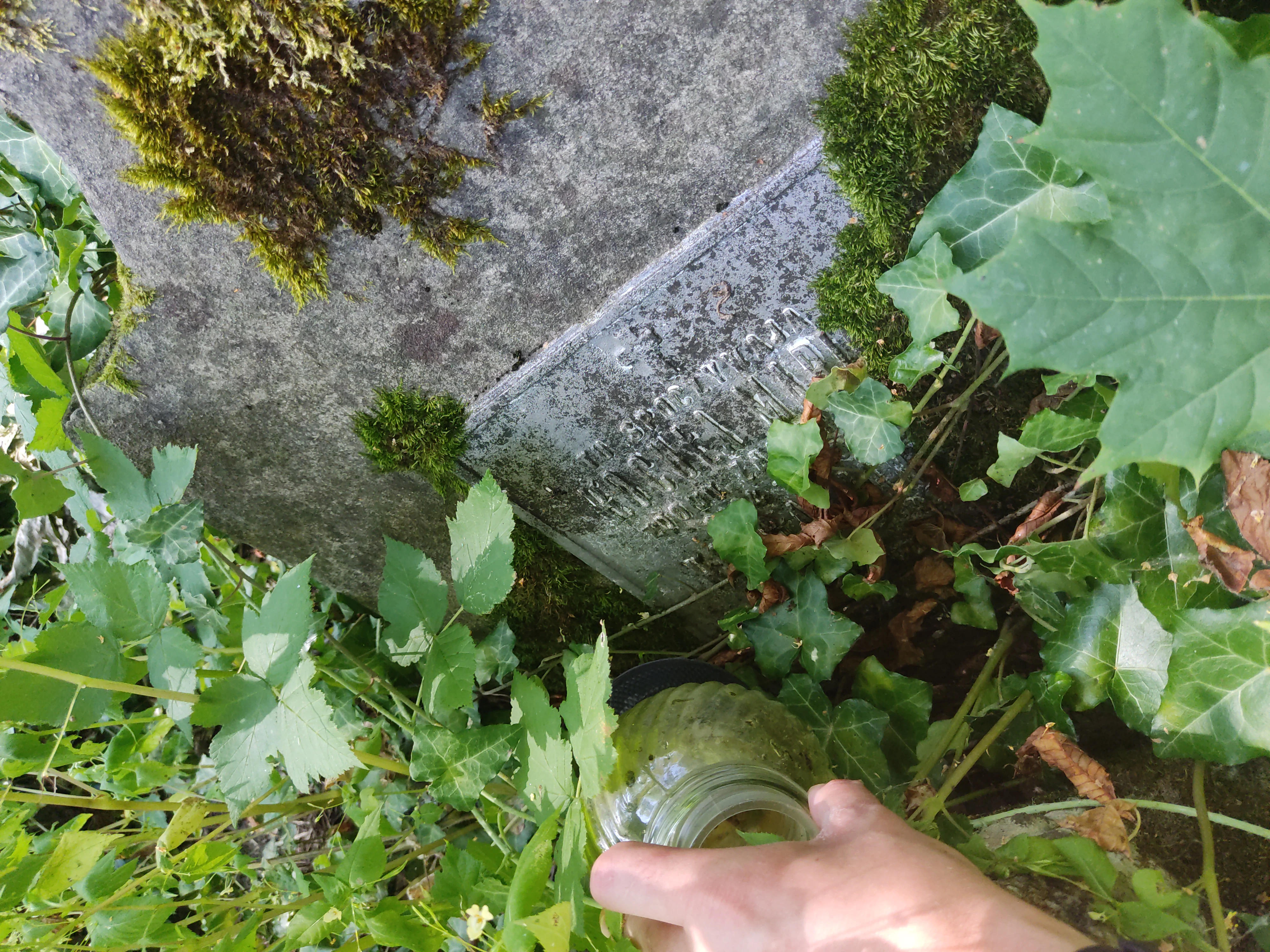 Memorial image