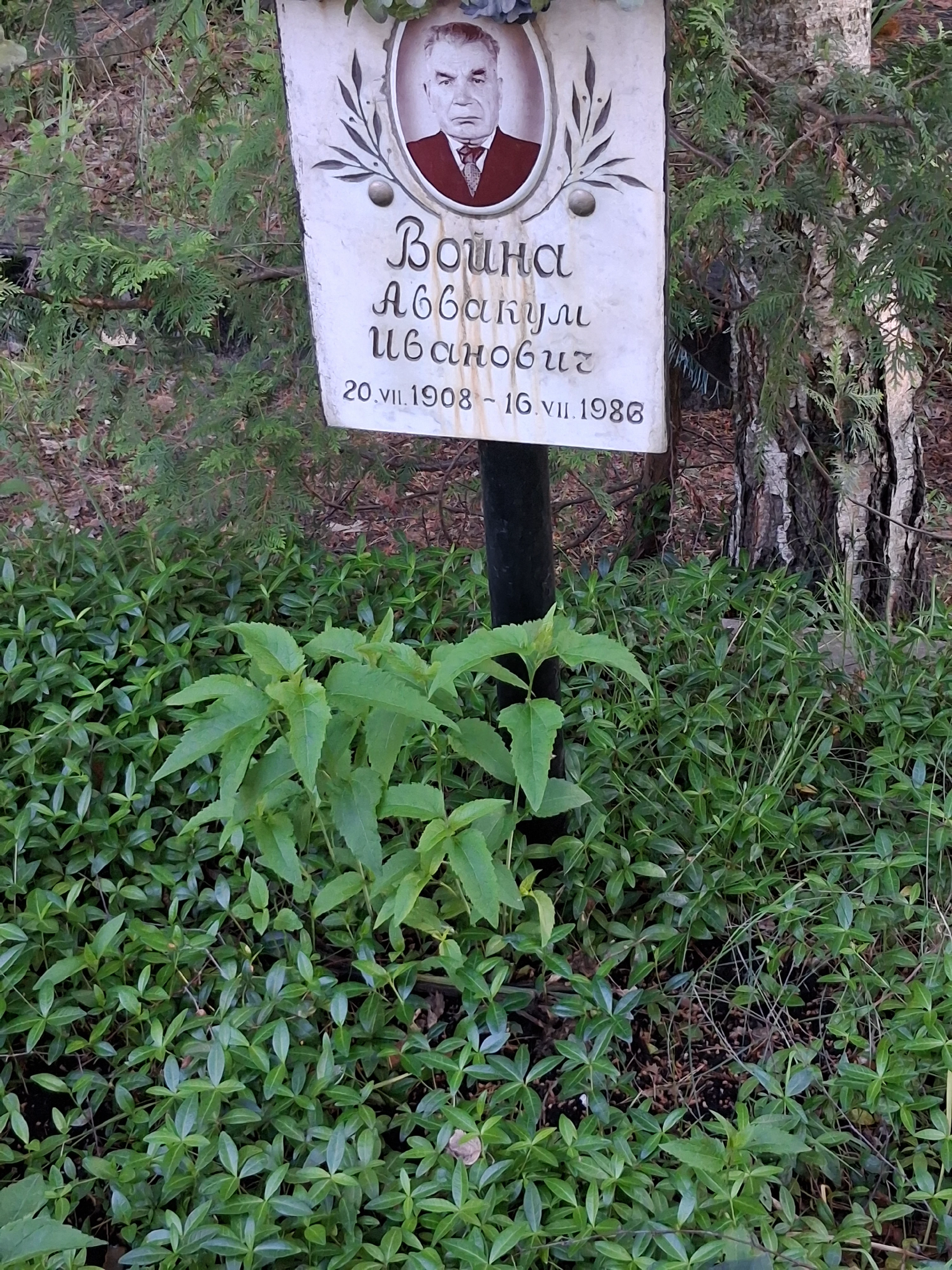 Memorial image