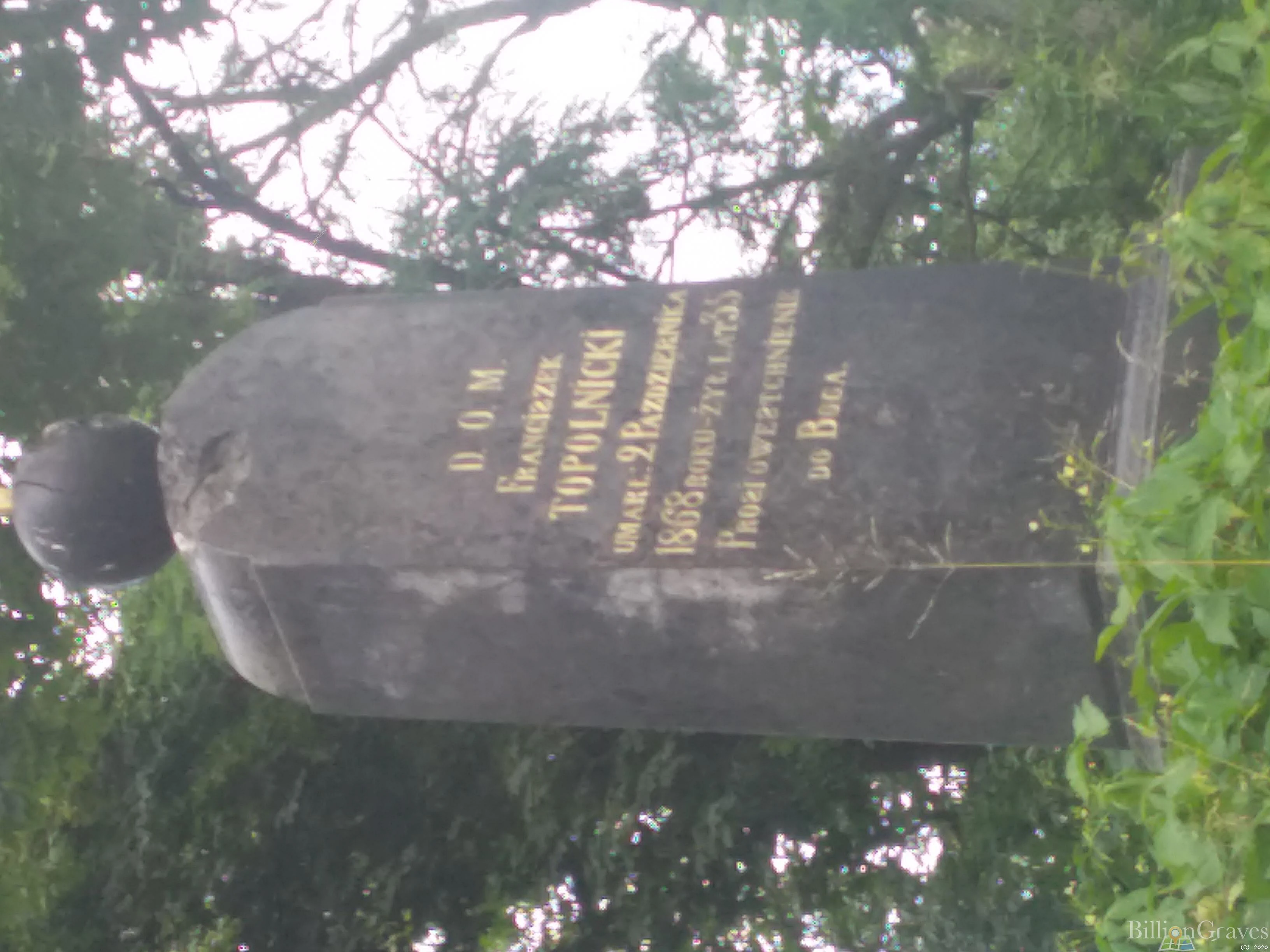 Memorial image