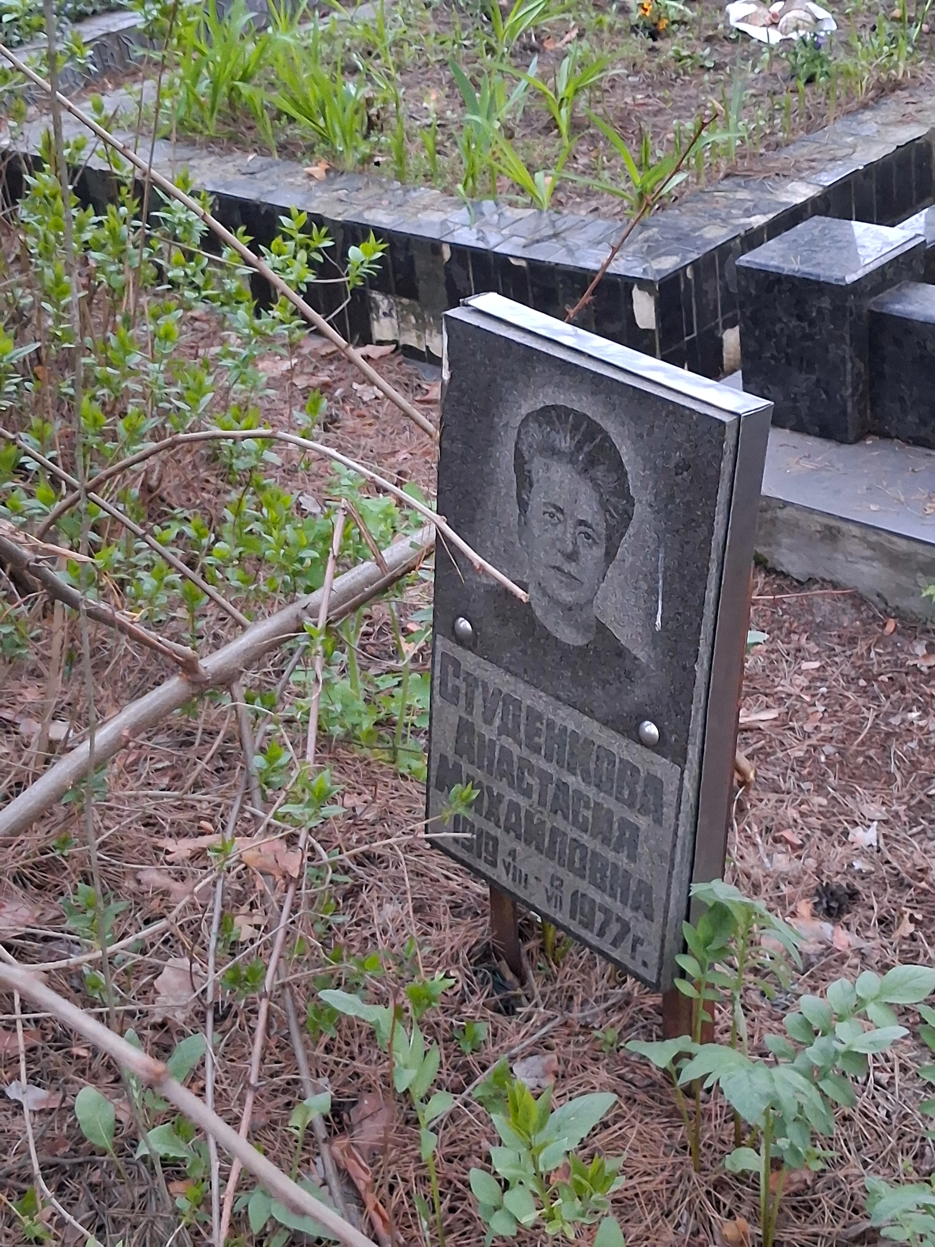 Memorial image
