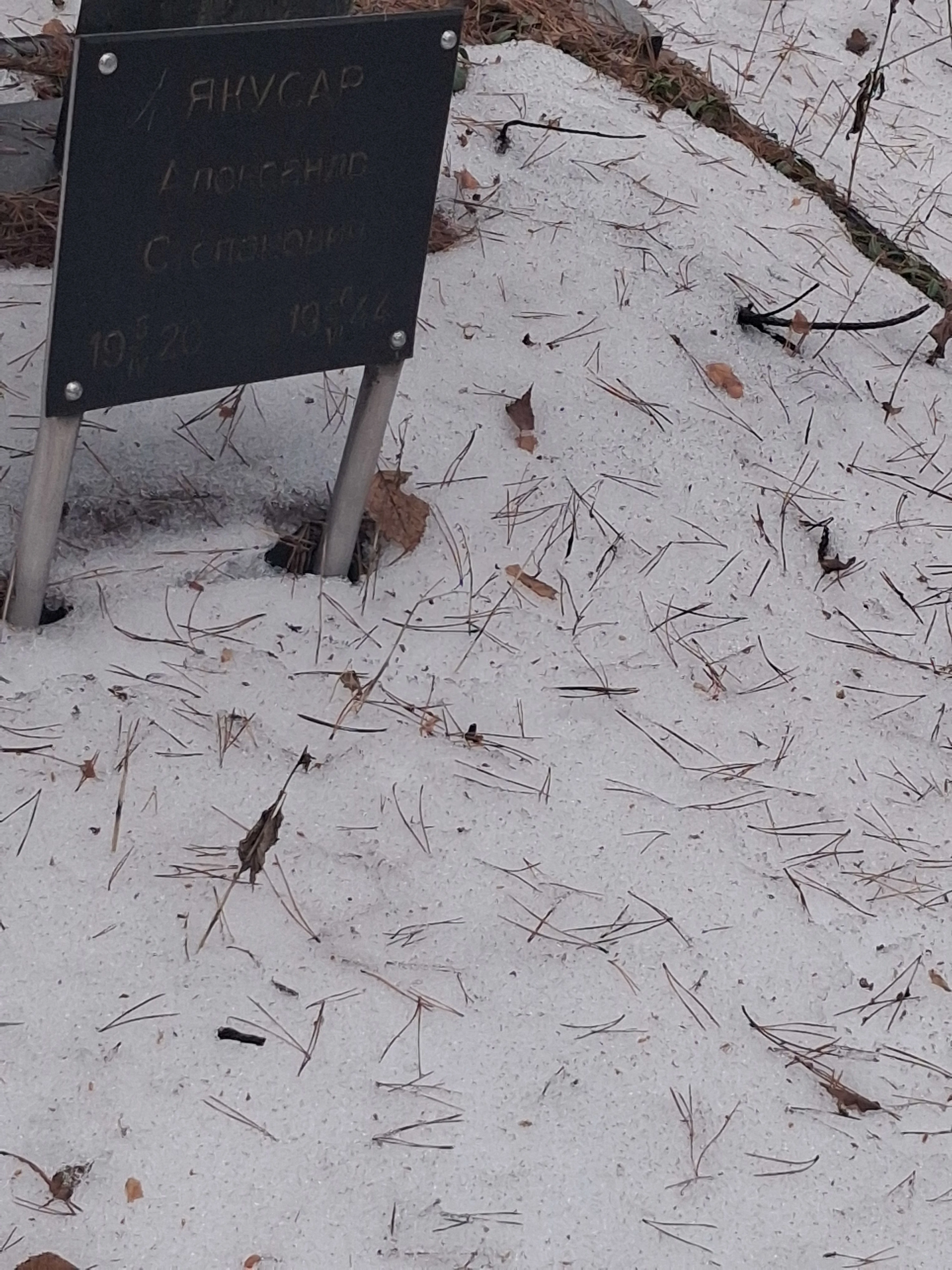 Memorial image