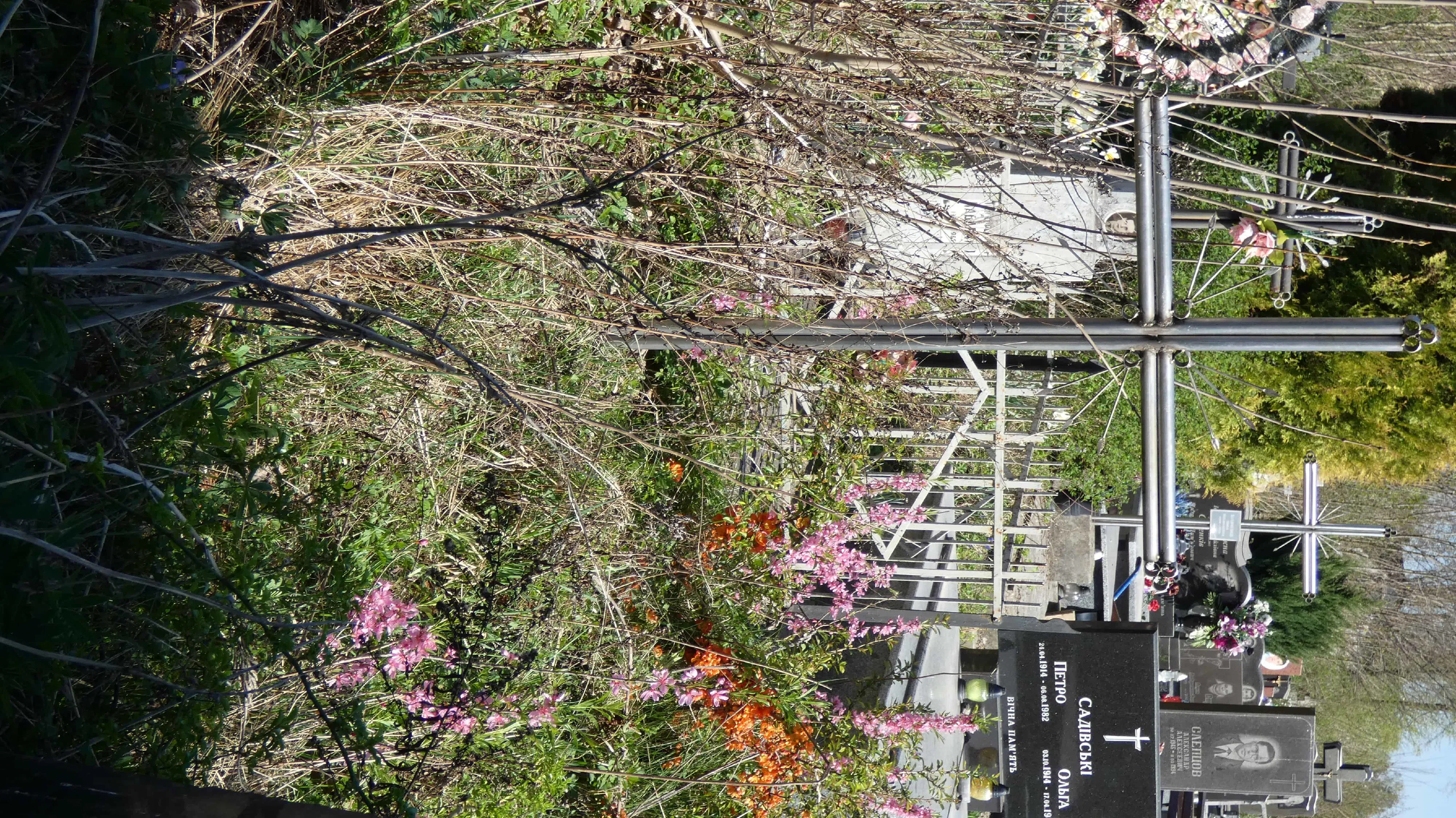 Memorial image