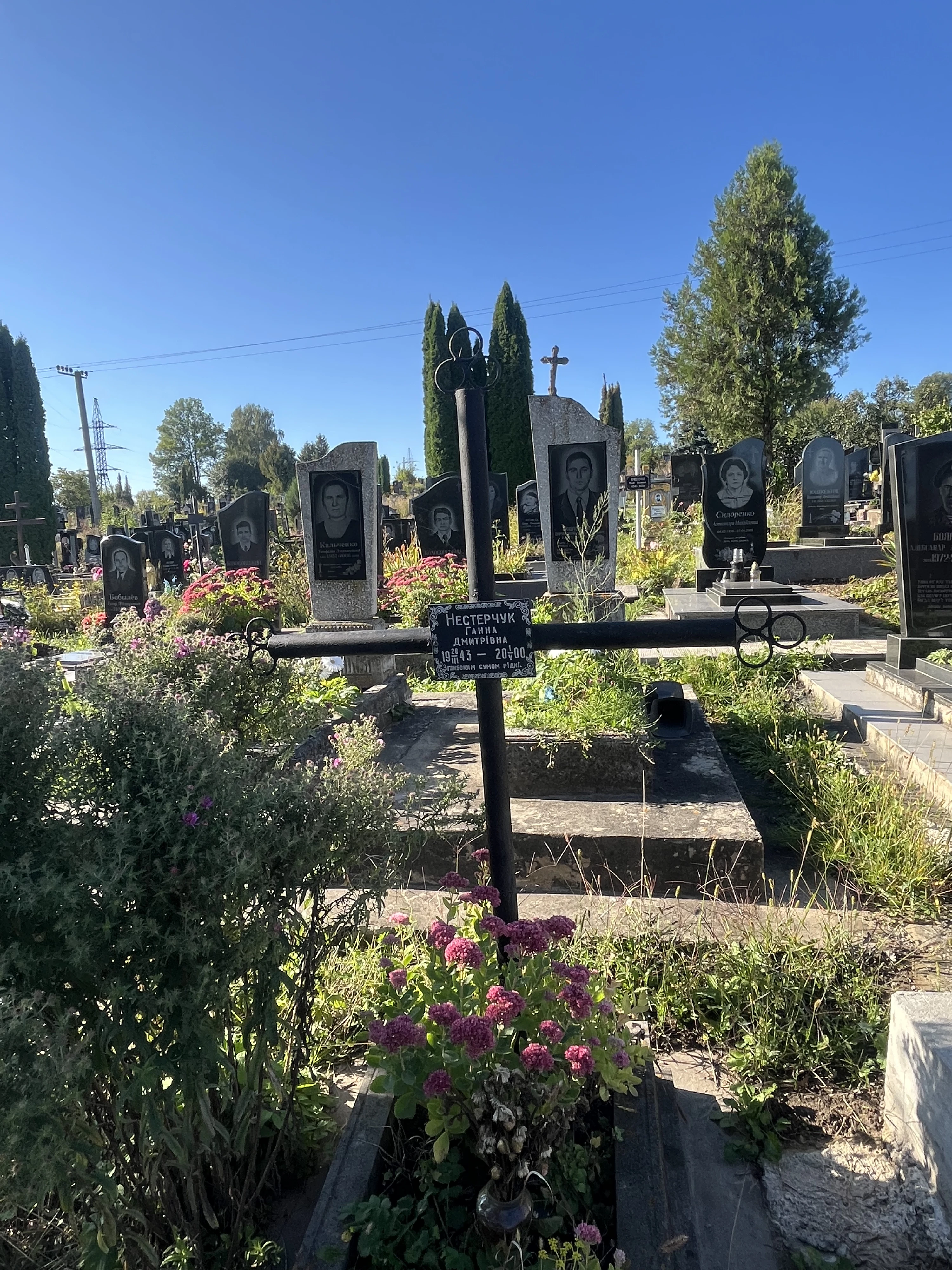 Memorial image