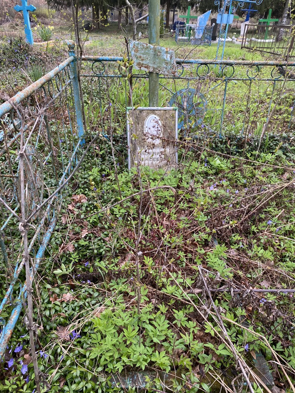 Memorial image