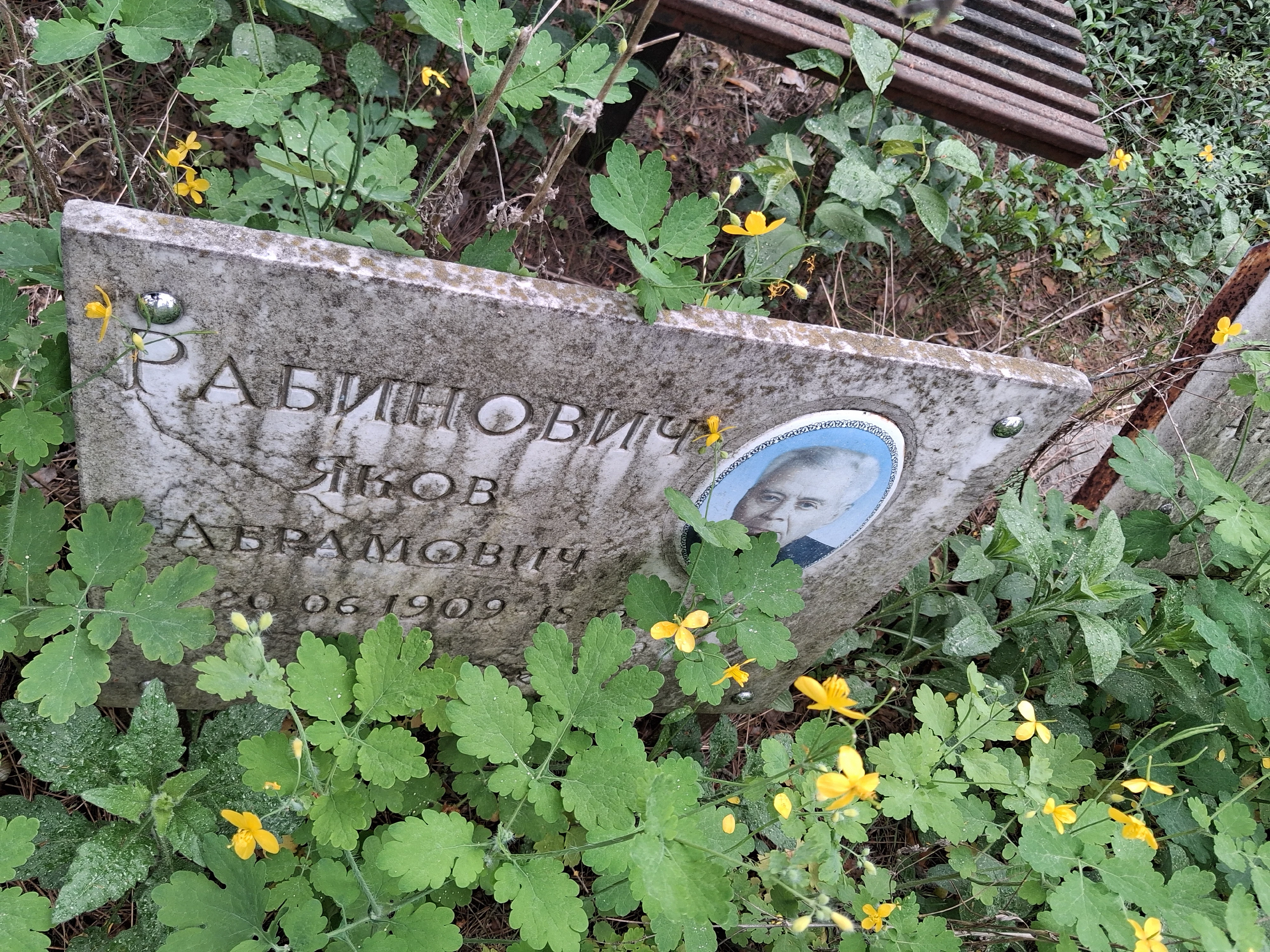 Memorial image