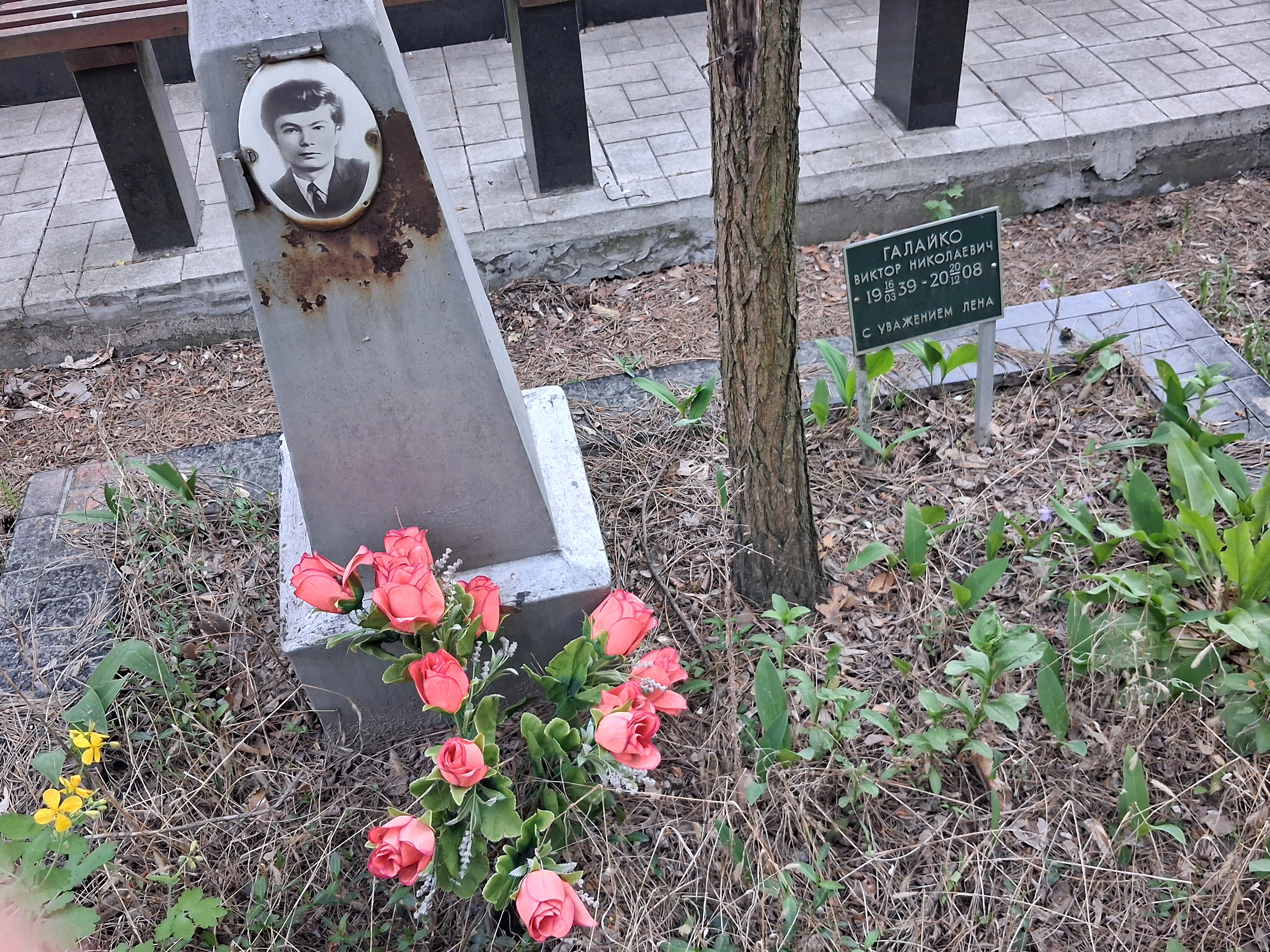 Memorial image