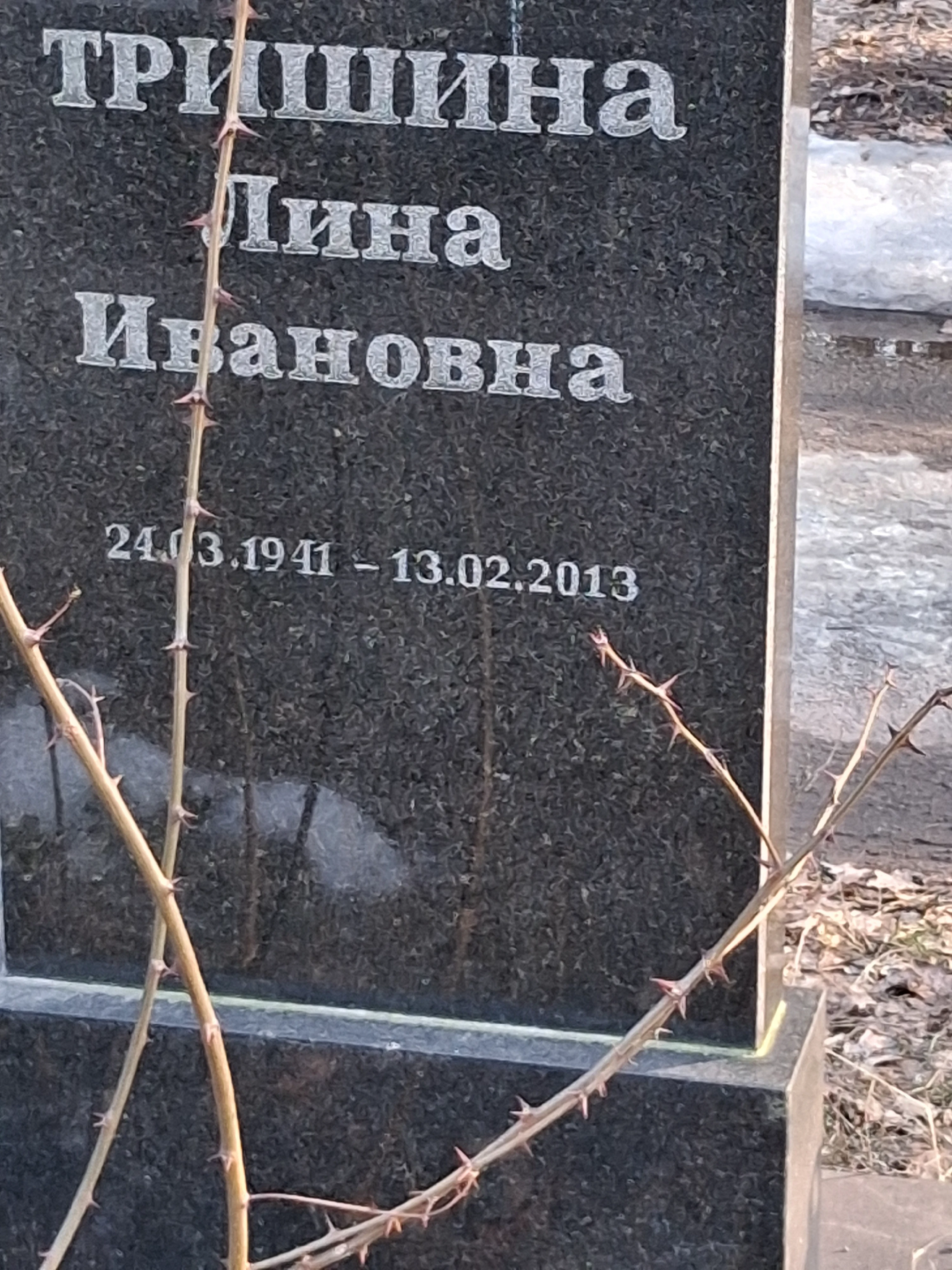 Memorial image