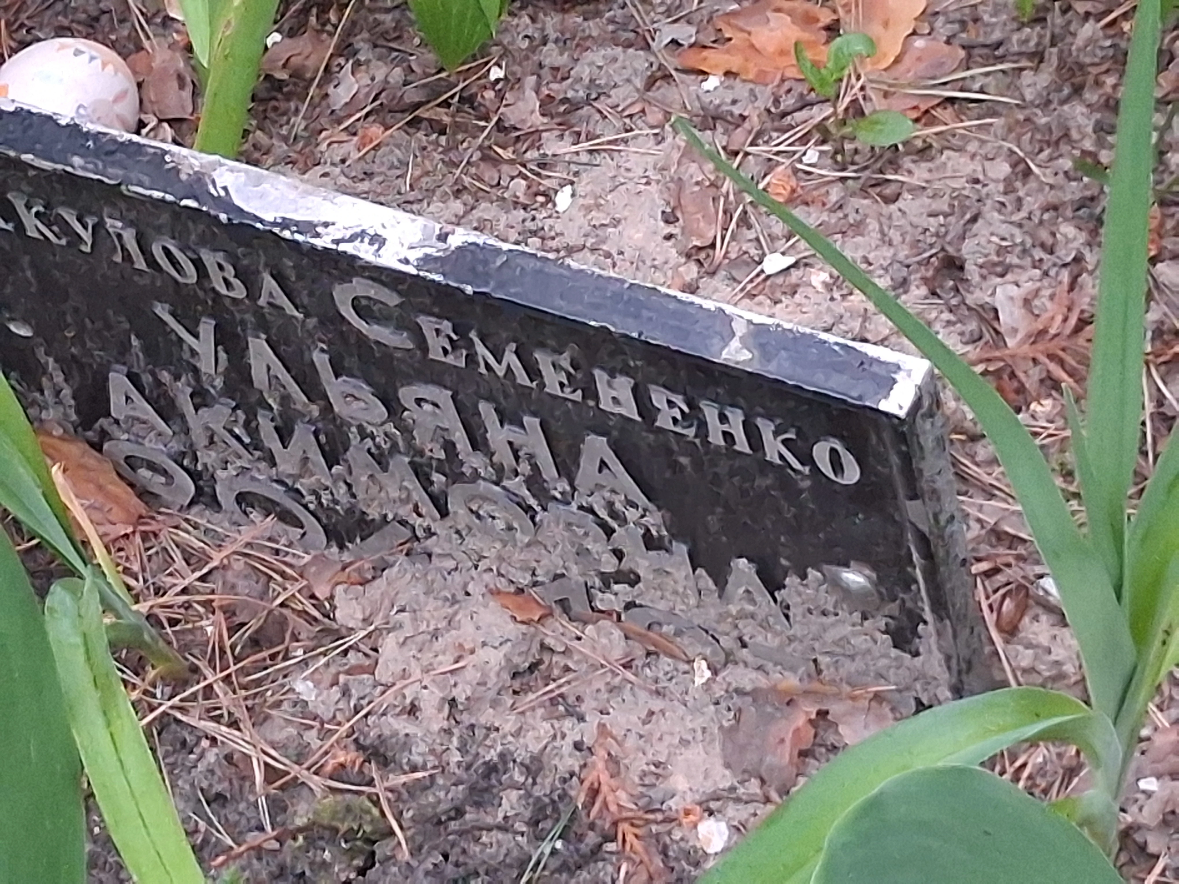 Memorial image
