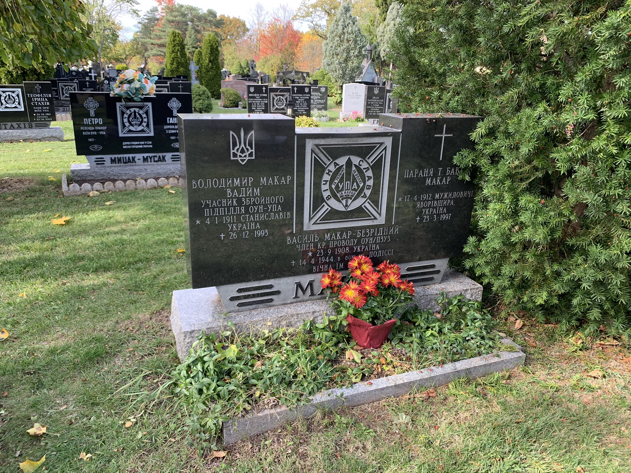 Memorial image